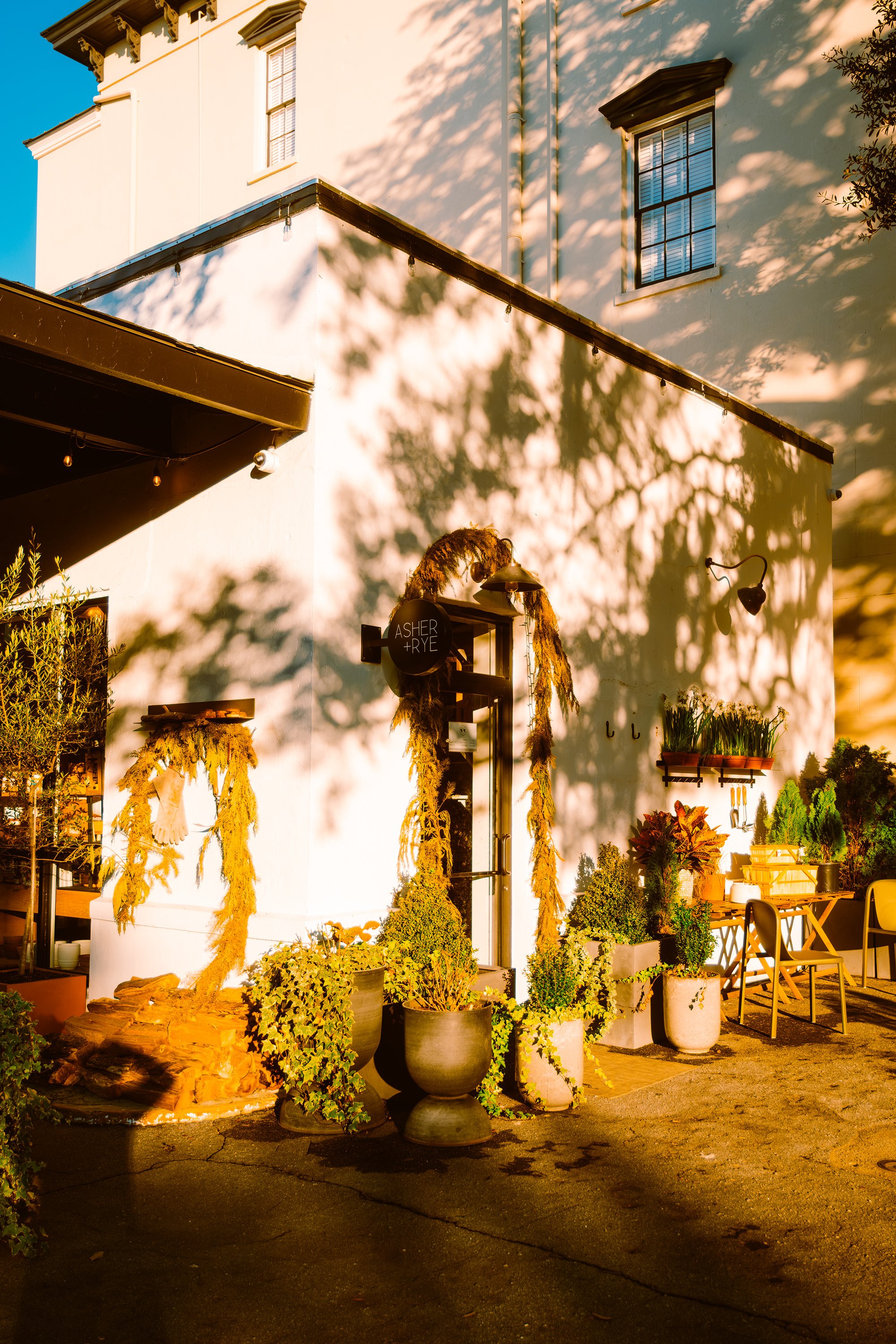 Exterior of a shop with decorative plants and dried foliage, sunlight casting shadows on the wall, and outdoor seating.