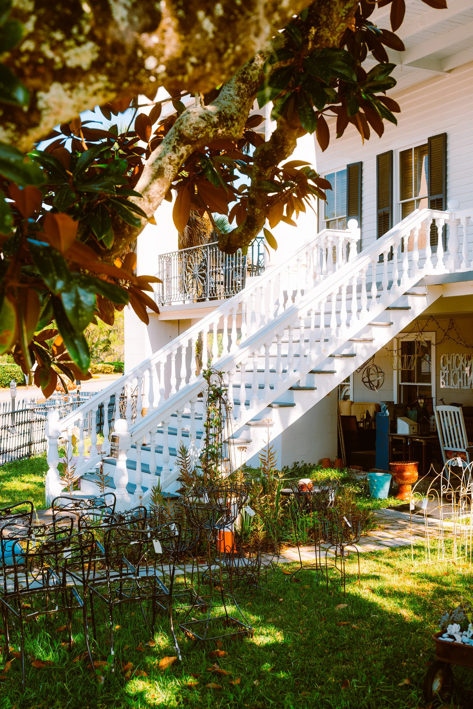 Front yard with raised white porch stairs, garden pots, and metal plant stands under a tree, outside of a white house with black shutters.