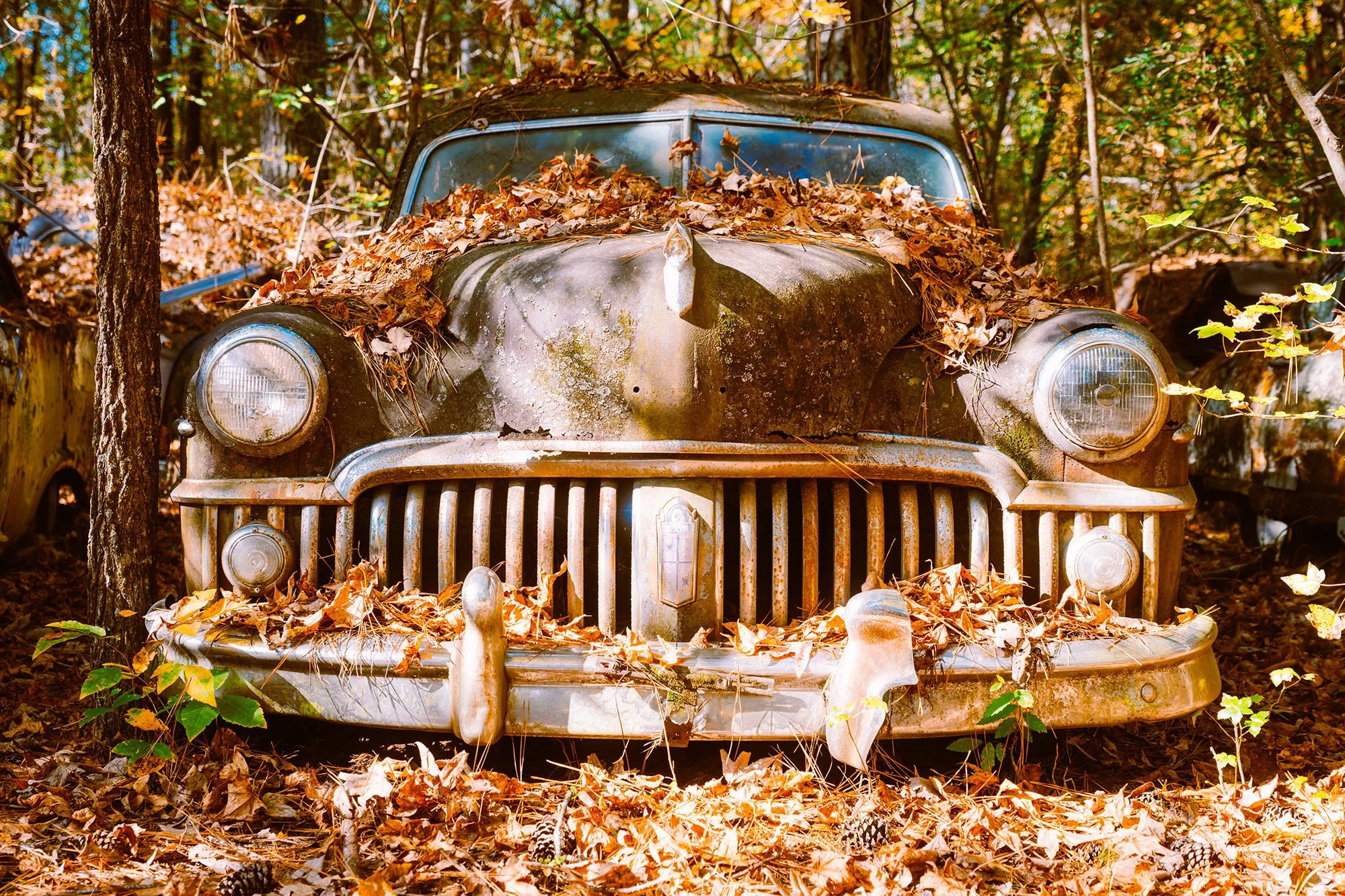 An old, abandoned car covered with dried leaves, situated in a wooded area with sunlight filtering through the trees.