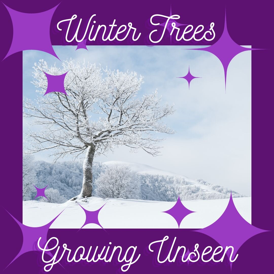 While out walking a dog yesterday, I had to pass the leash around a tree the dog had circled. In that moment, I said hello to the tree, and thanked it for being so strong, and that I knew it was growing good strong roots during the winter season. A l