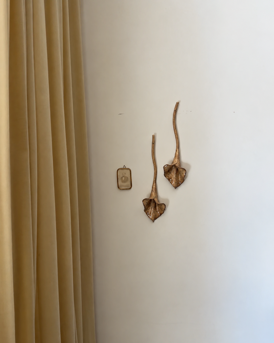 Calla Hanging Stem | Foxing