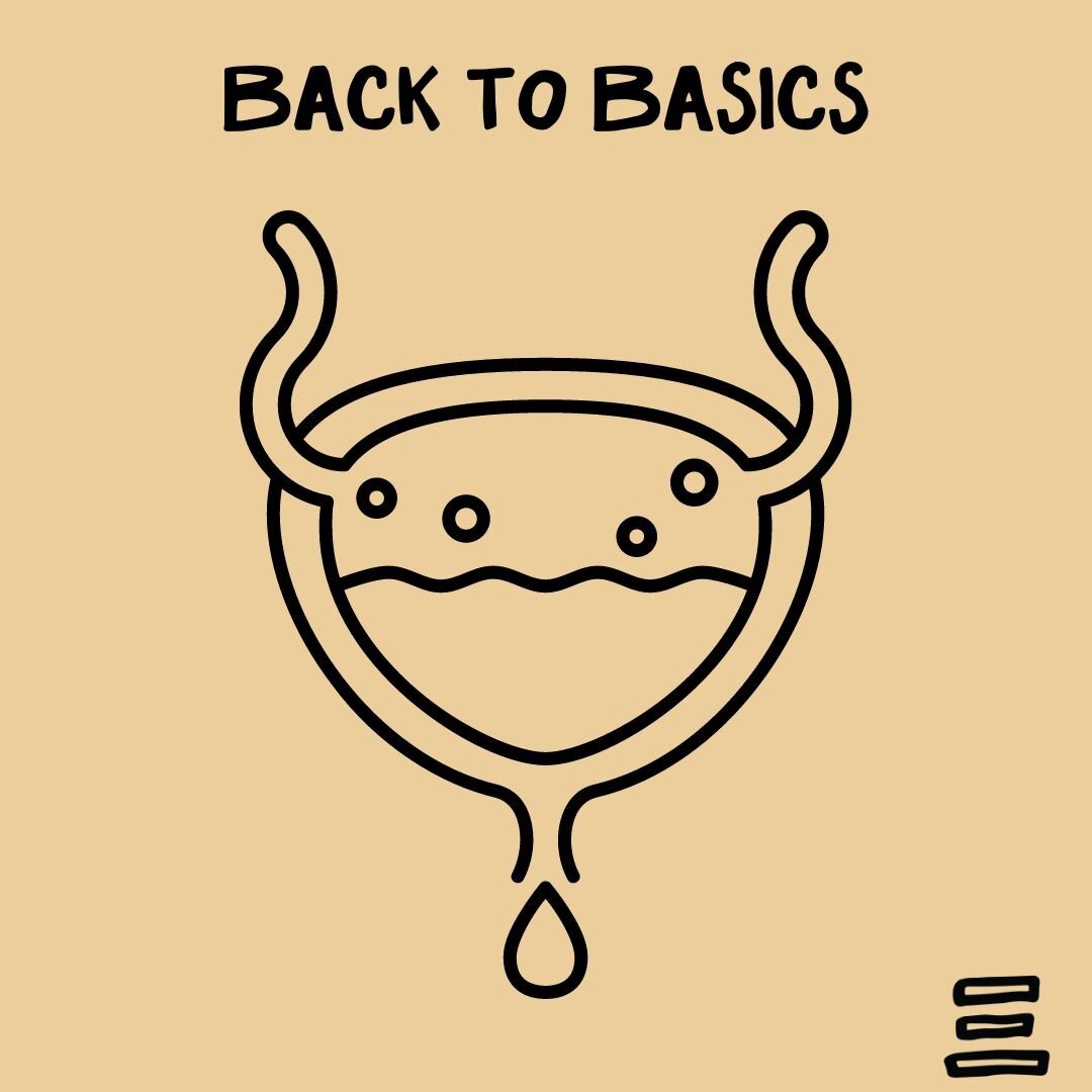 Back to basics: Bladder

The bladder is found inside your pelvis at the front, behind your pubic bone.
Urine flows from the kidneys, through the ureters, into the bladder where the urine is stored until it is a good time to empty. Urine flows through