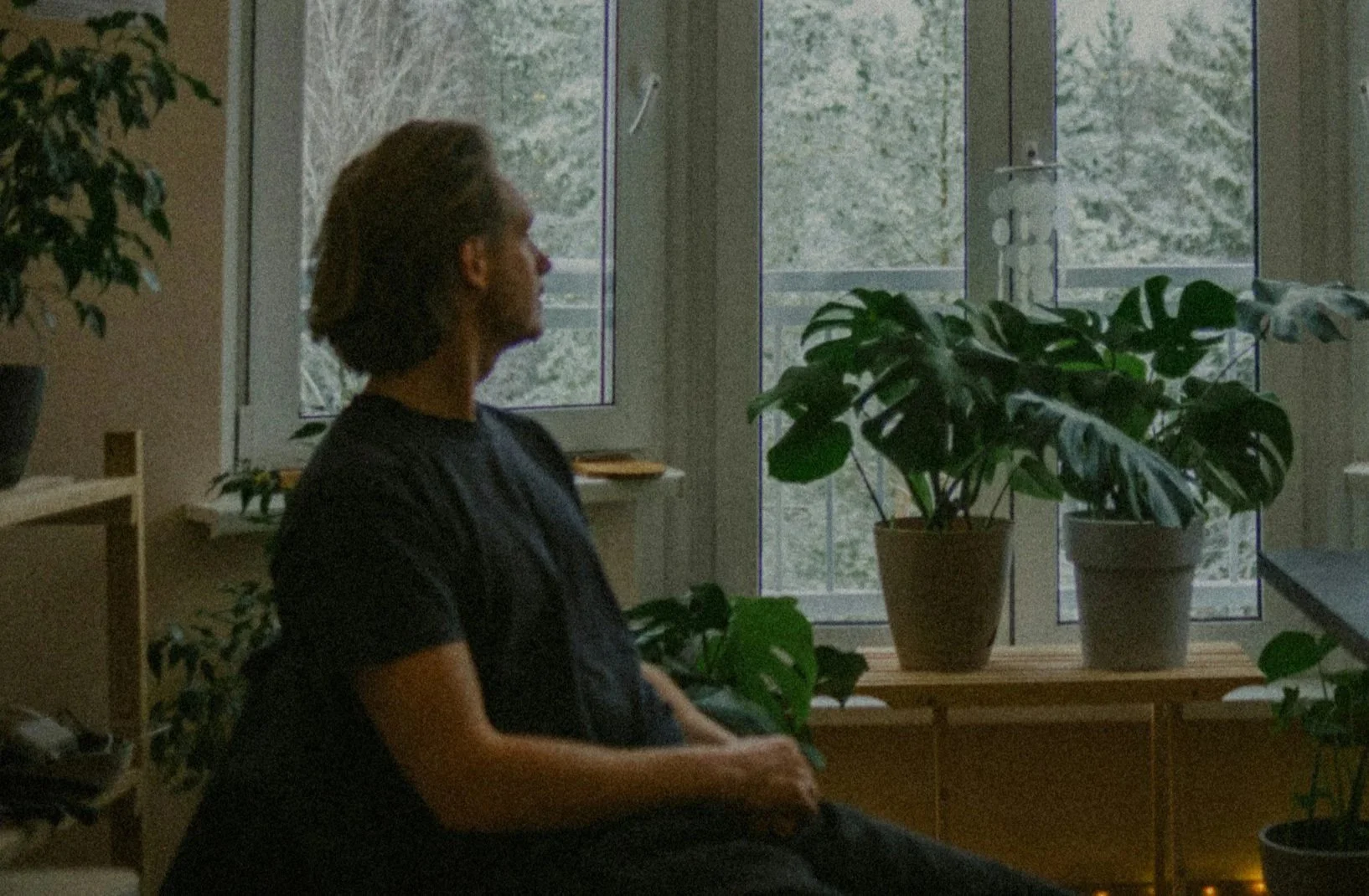 A person sitting in a room with large windows, surrounded by potted plants, looking out at a tree outside.