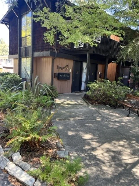 Exterior of a modern building with a glass front and wooden panels, surrounded by plants and trees, with a paved walkway and benches outside.