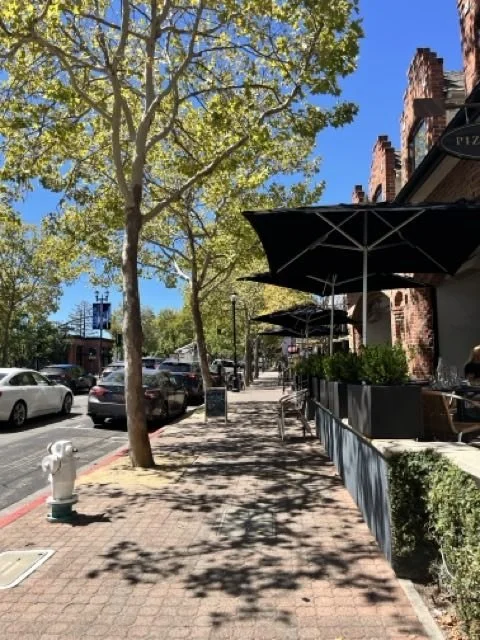 A sidewalk shaded by trees with parked cars on the street and outdoor seating with umbrellas outside a brick building.