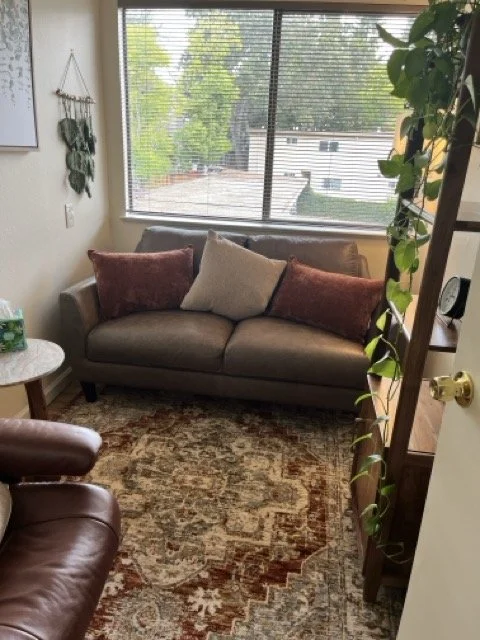 Therapy office in Lafayette, CA Loveseat sofa, cushions, rug, therapy chair and plants