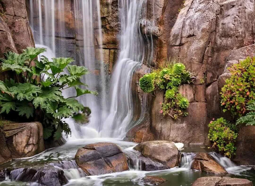 Small waterfall flowing over rocks surrounded by green plants and trees.