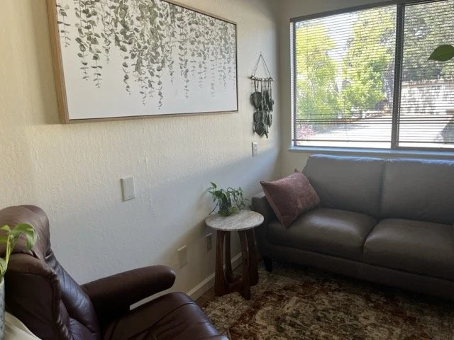 Living room with a brown leather recliner, a gray sofa with a pink pillow, a small side table with a plant, and a large window with blinds showing green trees outside.