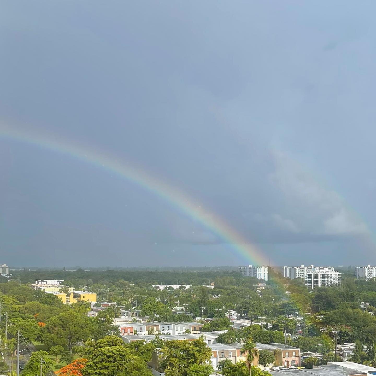 #southflorida #amazingsunlight #rainbows #color #landscape #iphoneonly Doesn&rsquo;t take a whole day to recognize sunshine&hellip;