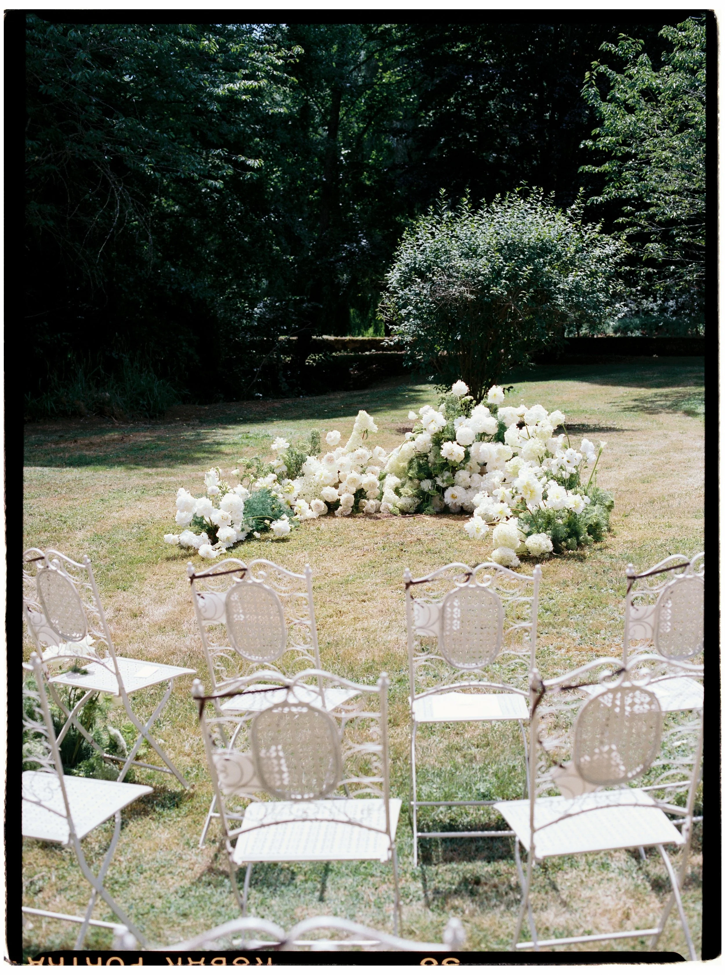 080-35mm-Film-Wedding-Photographer.JPG
