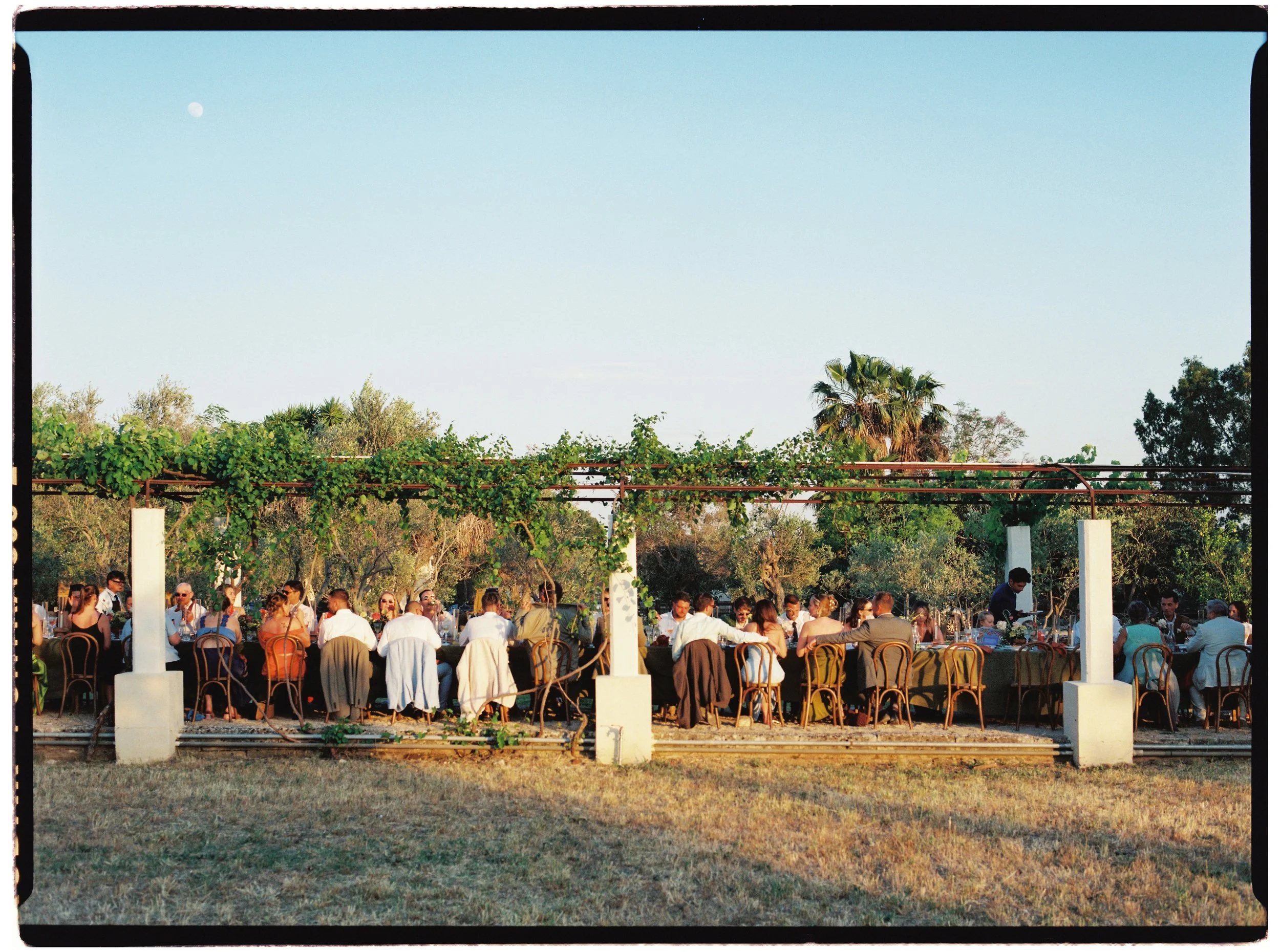 083-35mm-Film-Wedding-Photographer.JPG