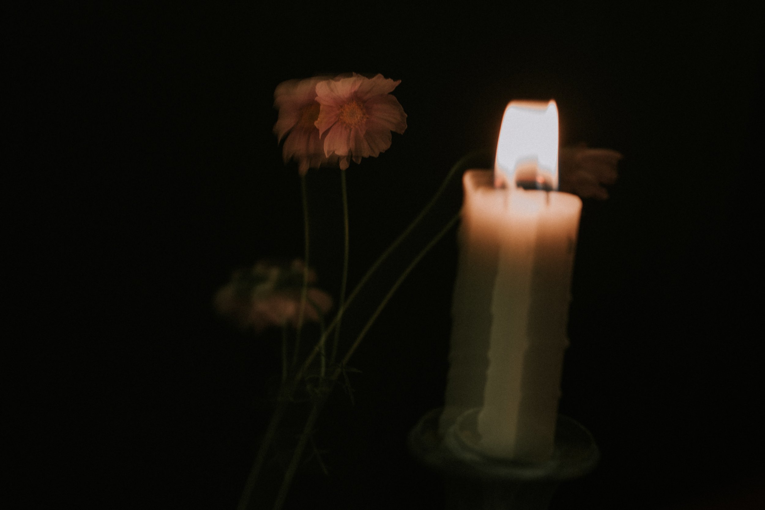 Blurry flowers and lit candle in dark background