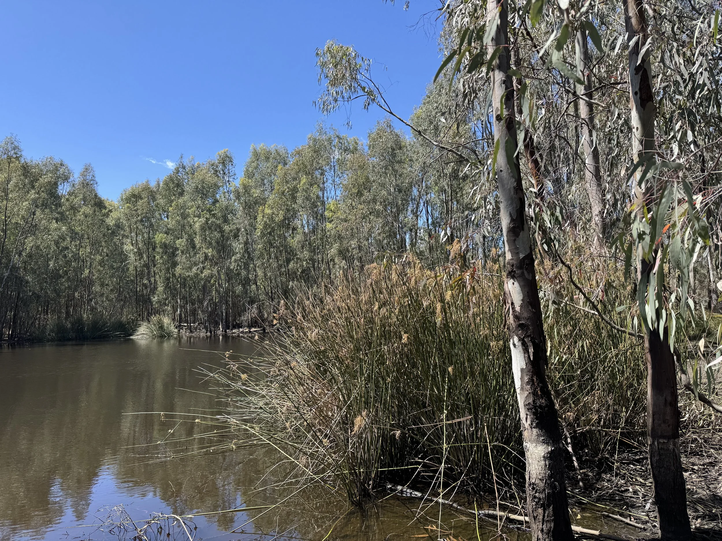 Boords Creek