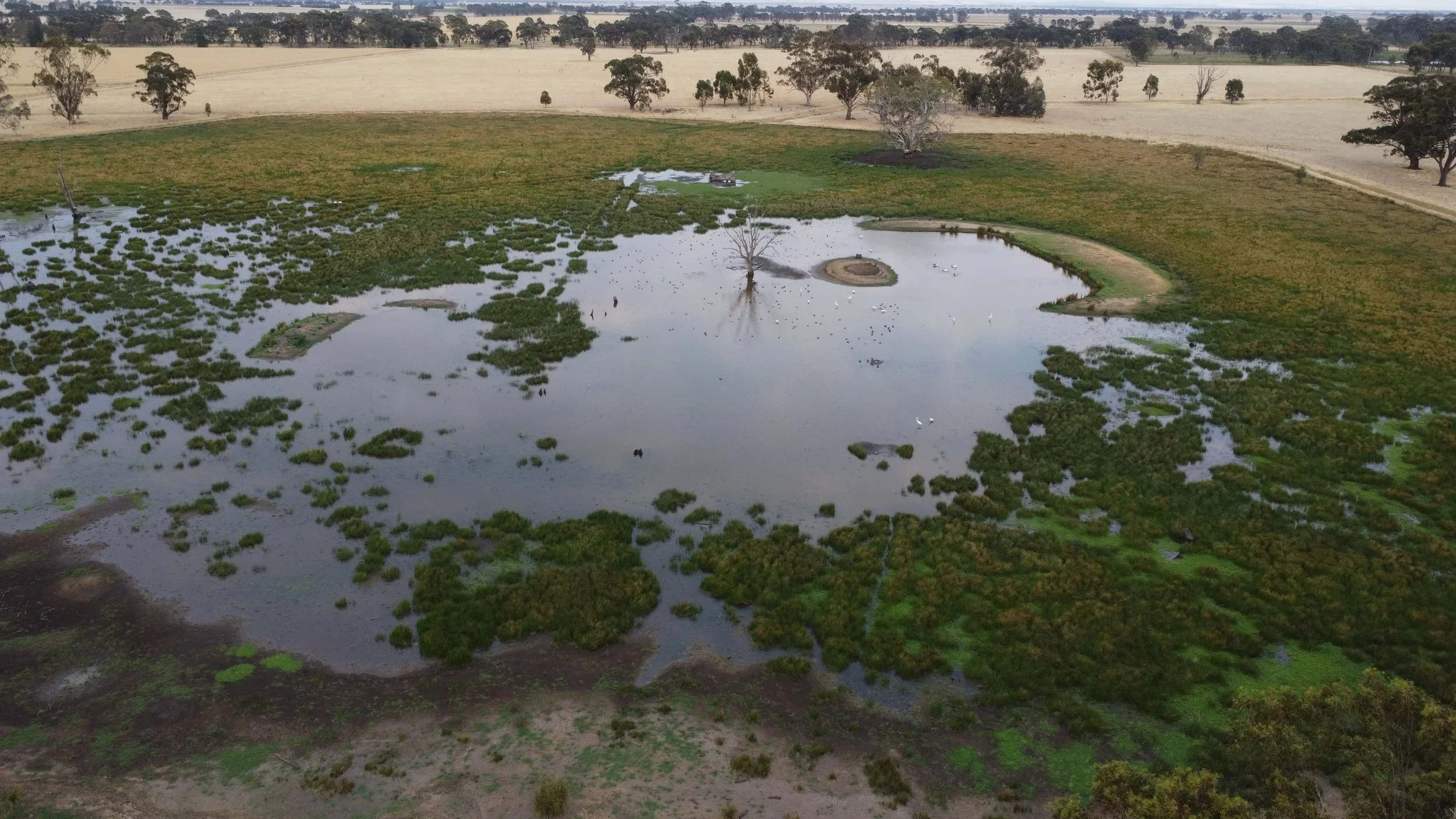 Aerial imagery taken by Matty Atkinson