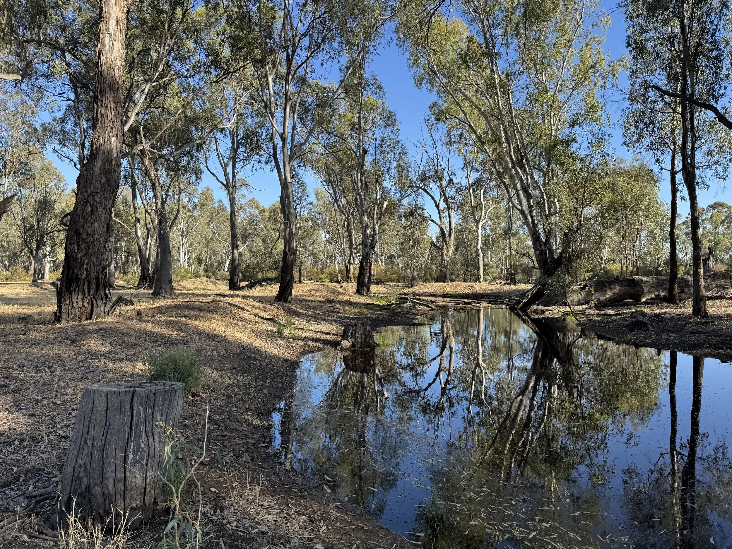 O'Neils, Boords Creek
