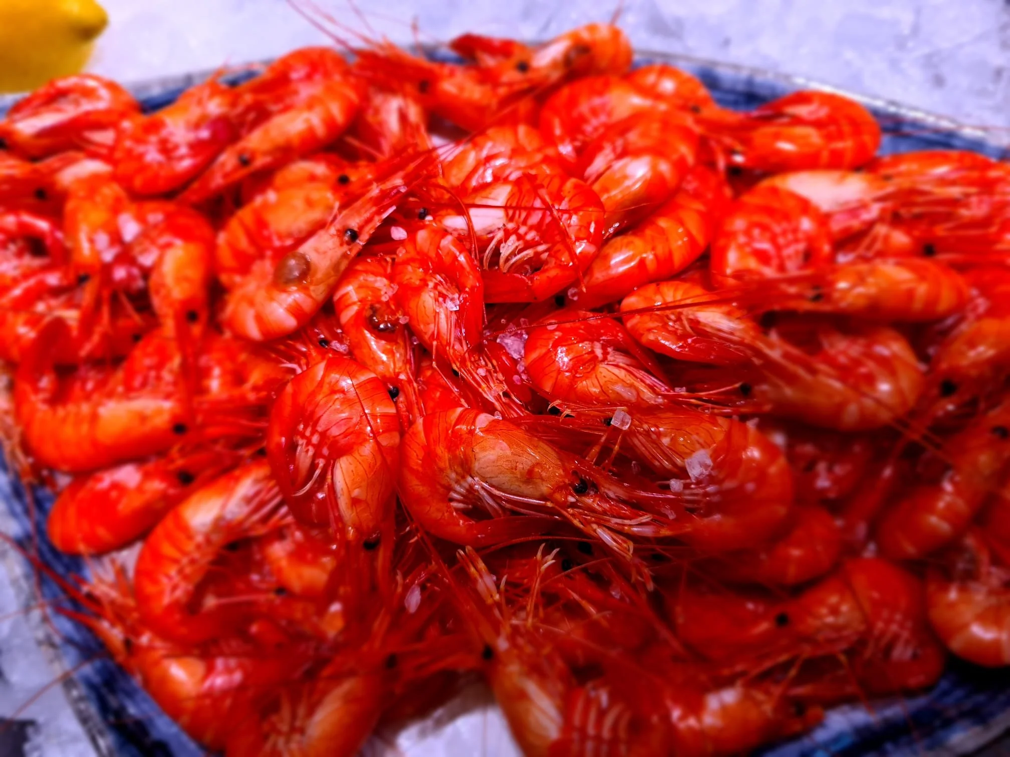 Gamba roja de Garrucha 