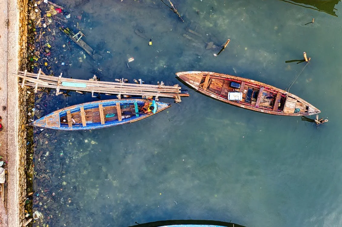 Descubre la Emoción de la Pesca Deportiva