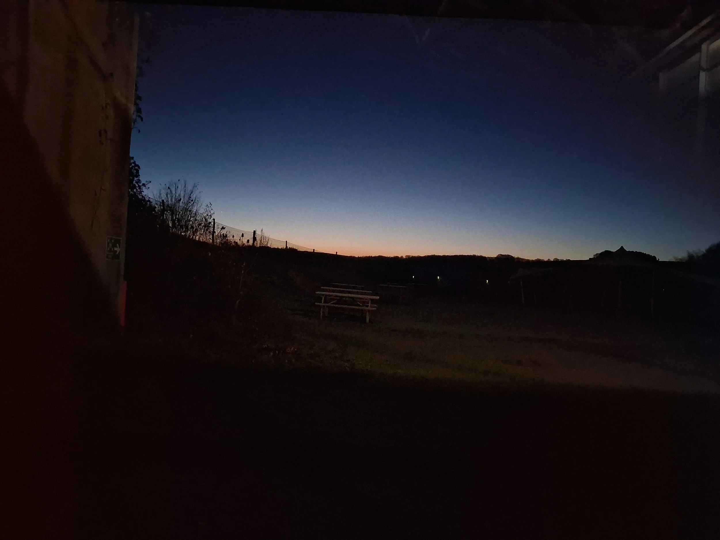 20251121_062741.jpg