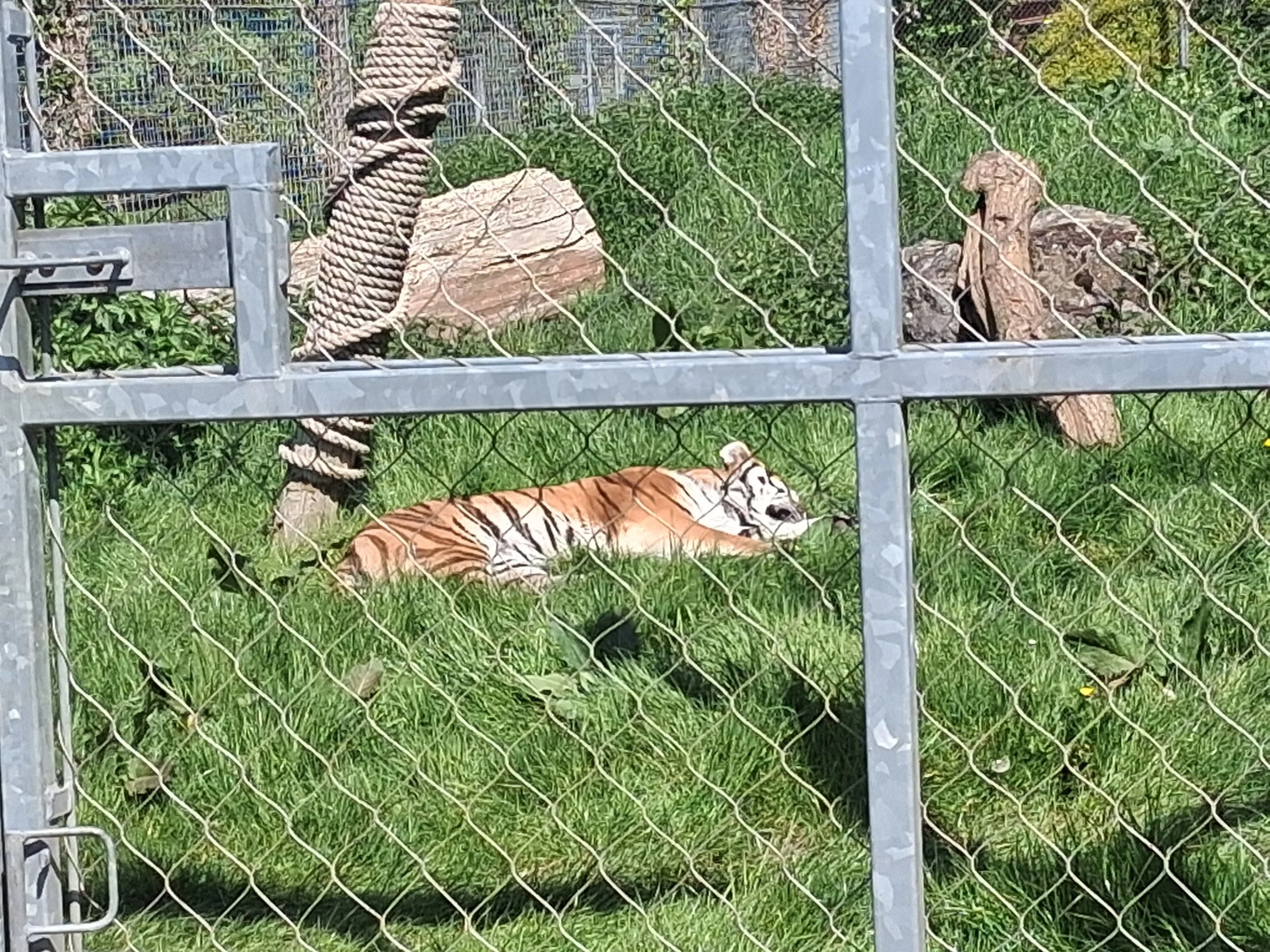 20260427_113020.jpg
