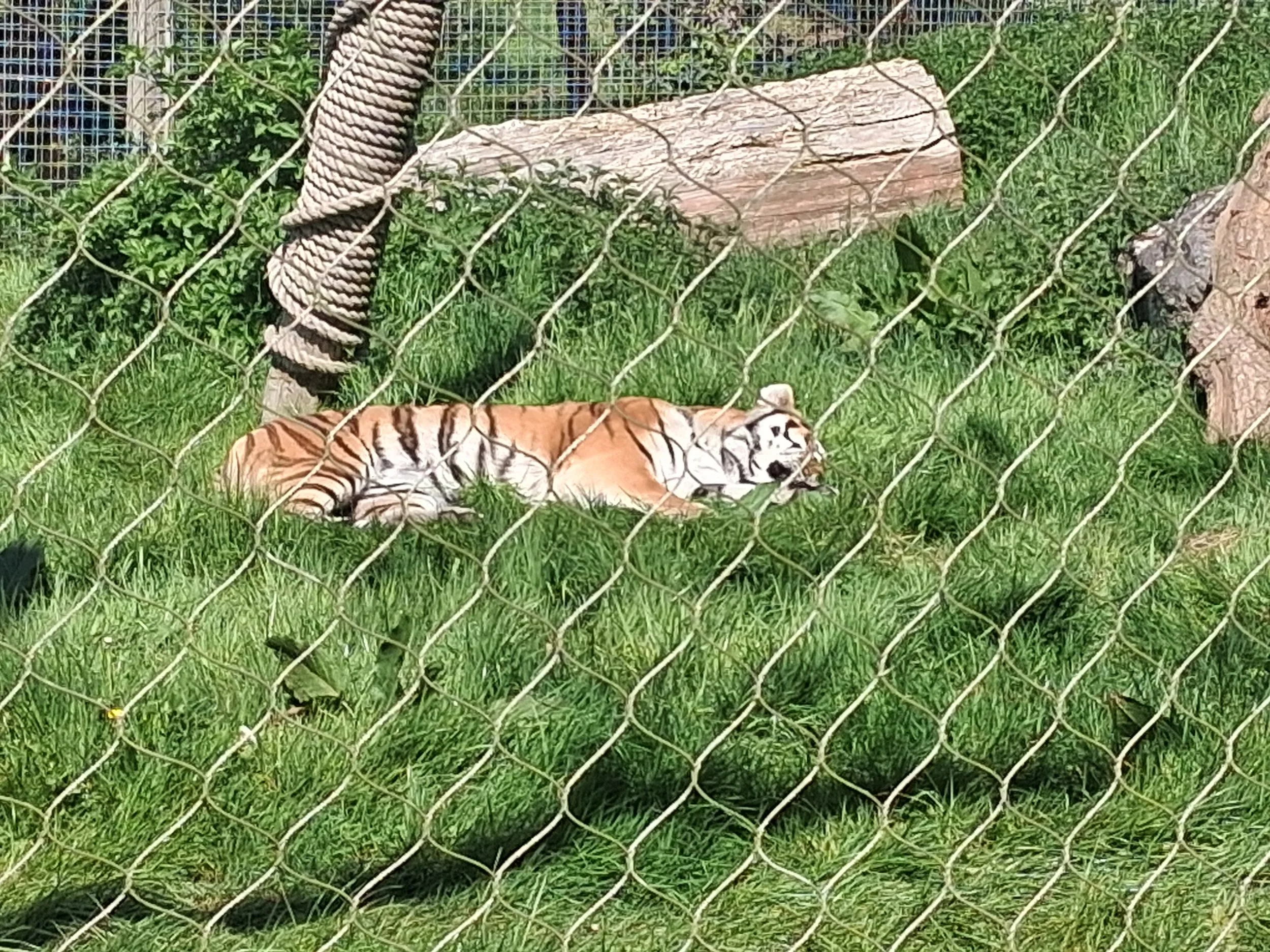20260427_113032.jpg