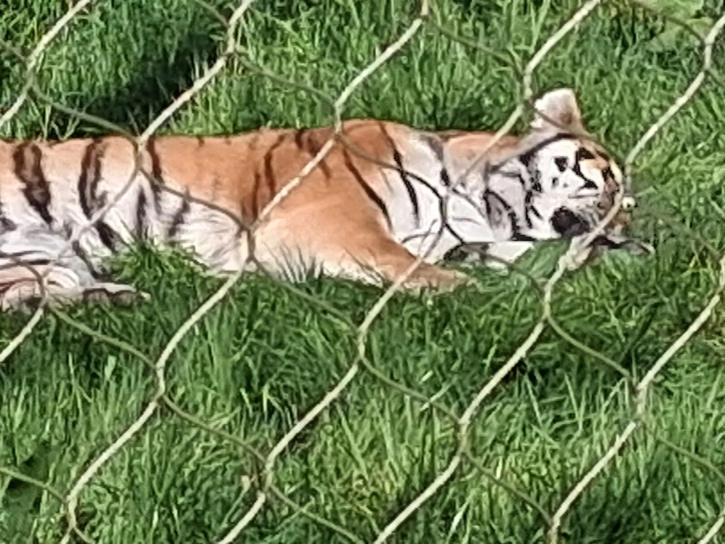 20260427_113040.jpg
