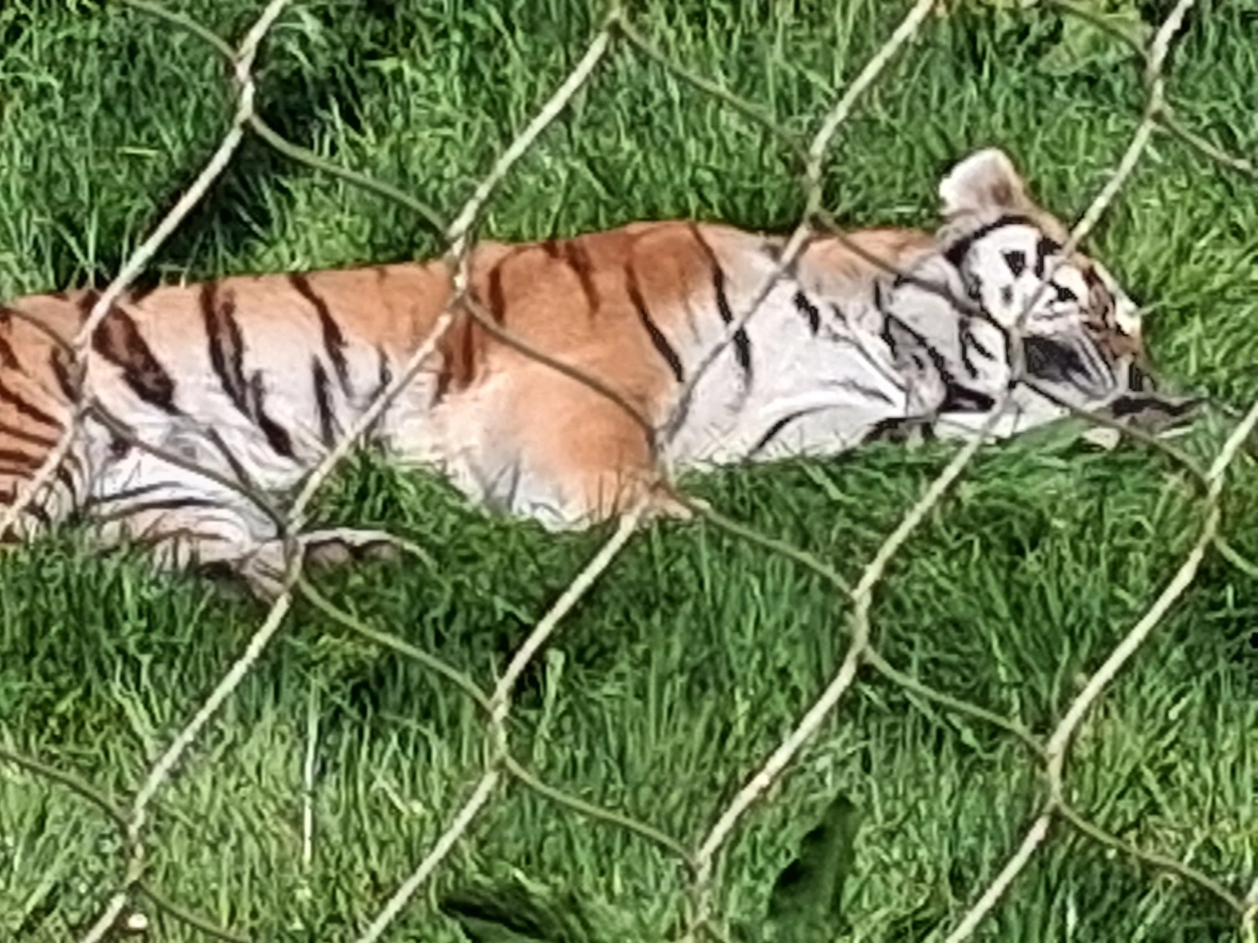 20260427_113705.jpg