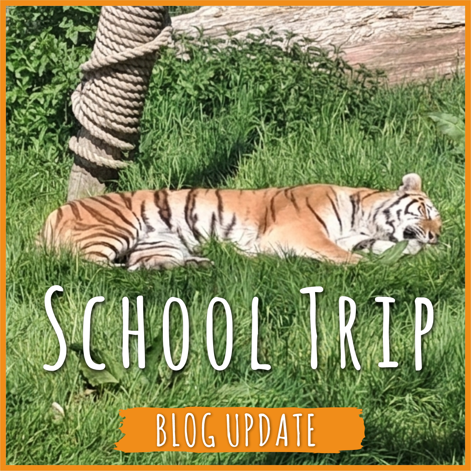 Year 2 blog: