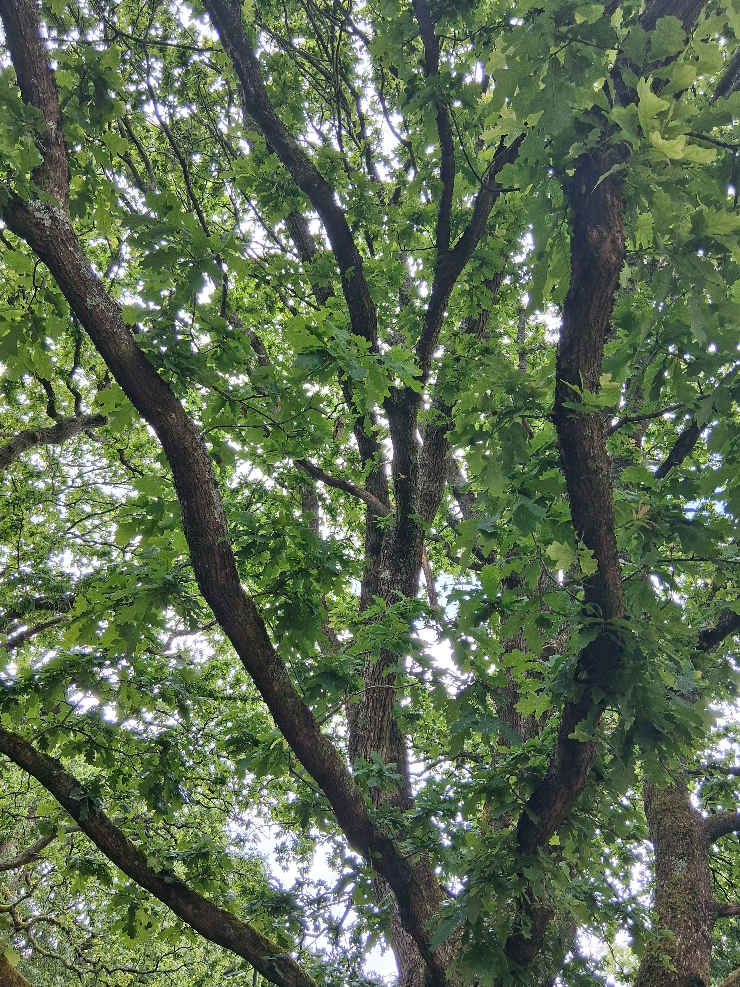 20260515_145443.jpg