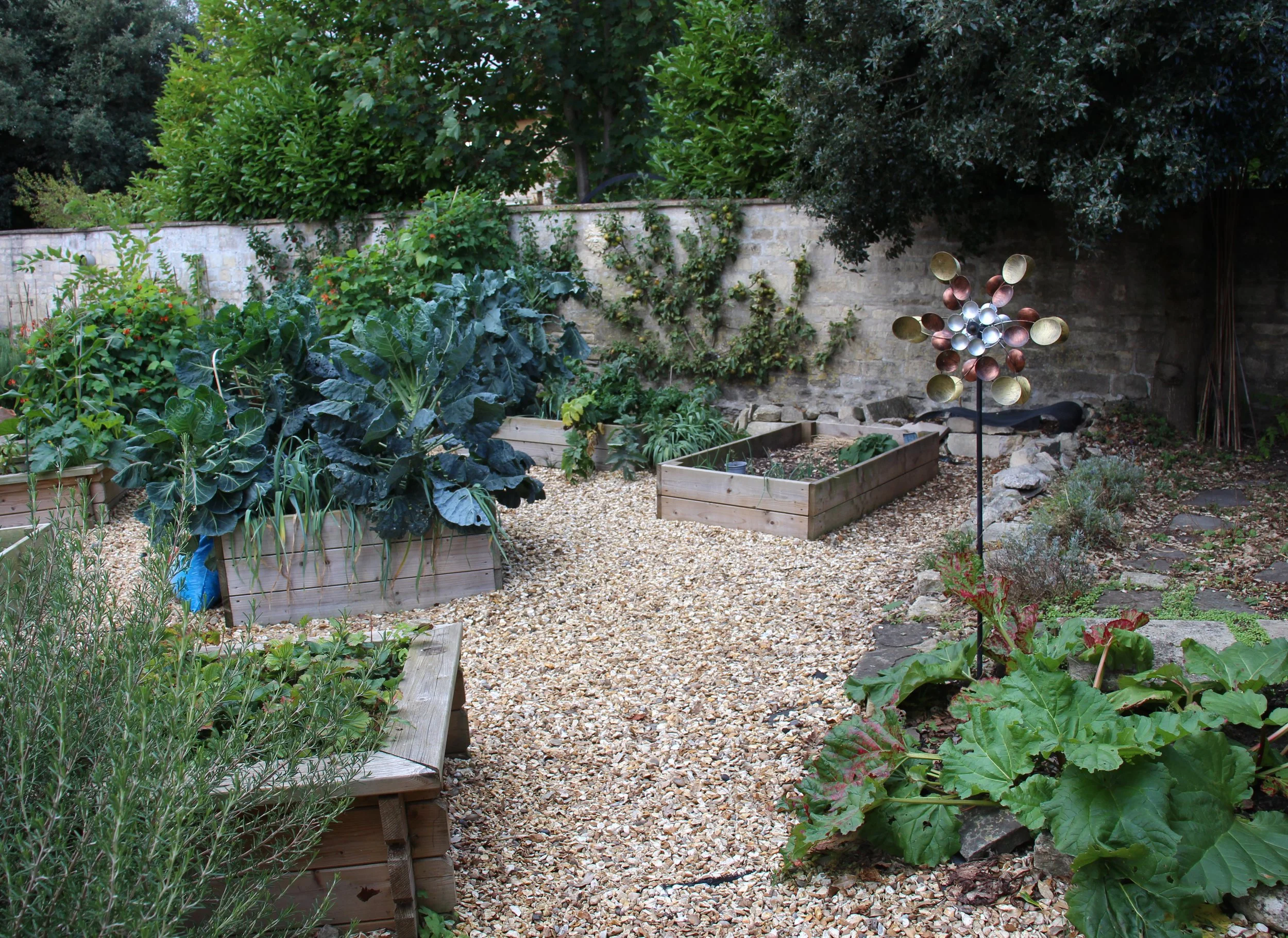 Allotment Garden.jpg