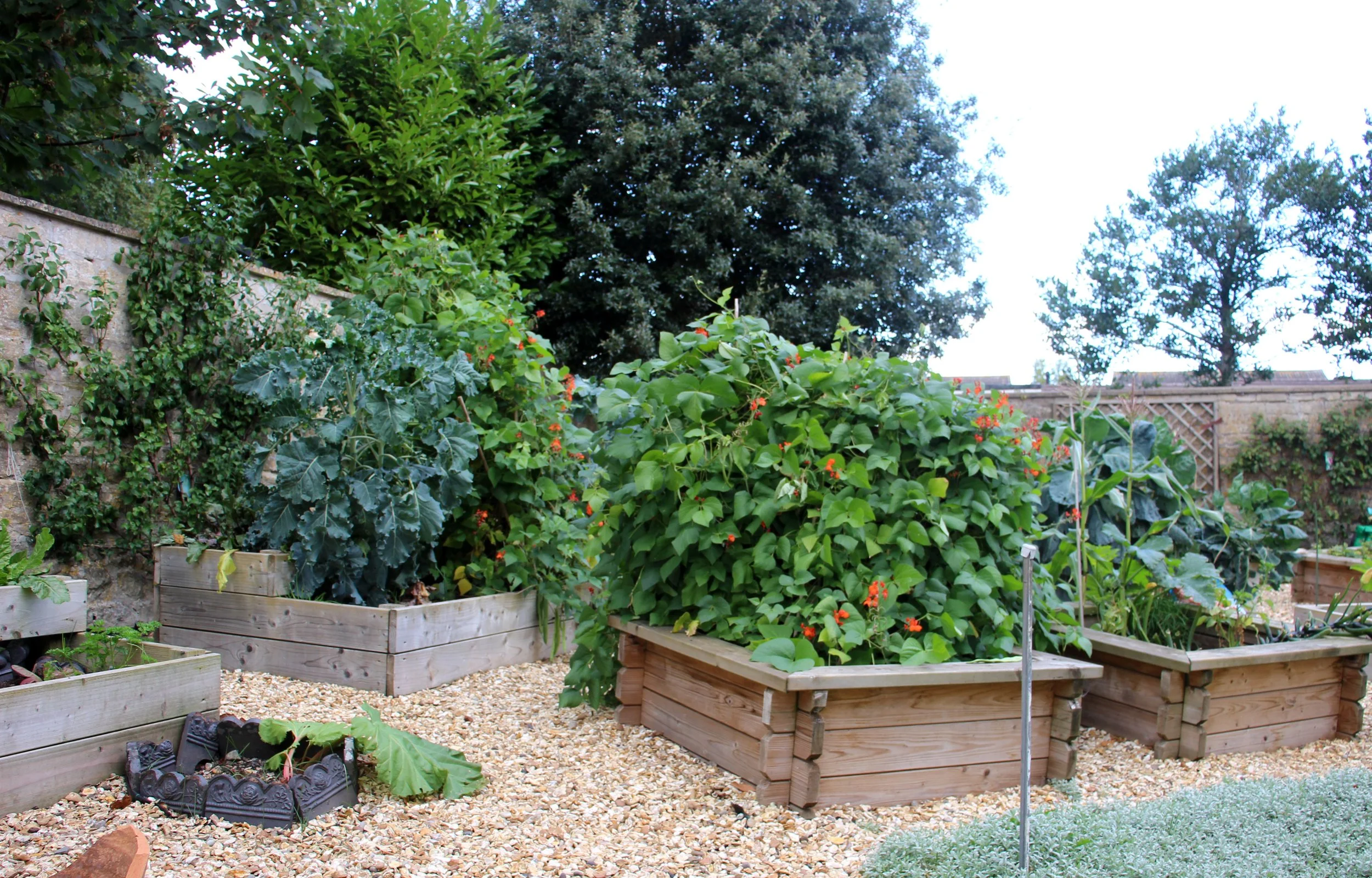Garden.jpg