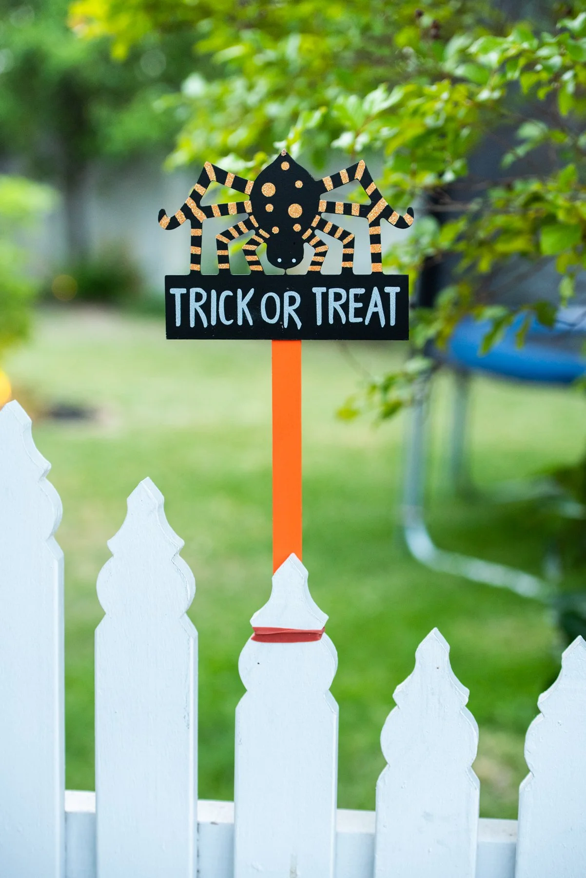 Oct 2018 Halloween 059.jpg