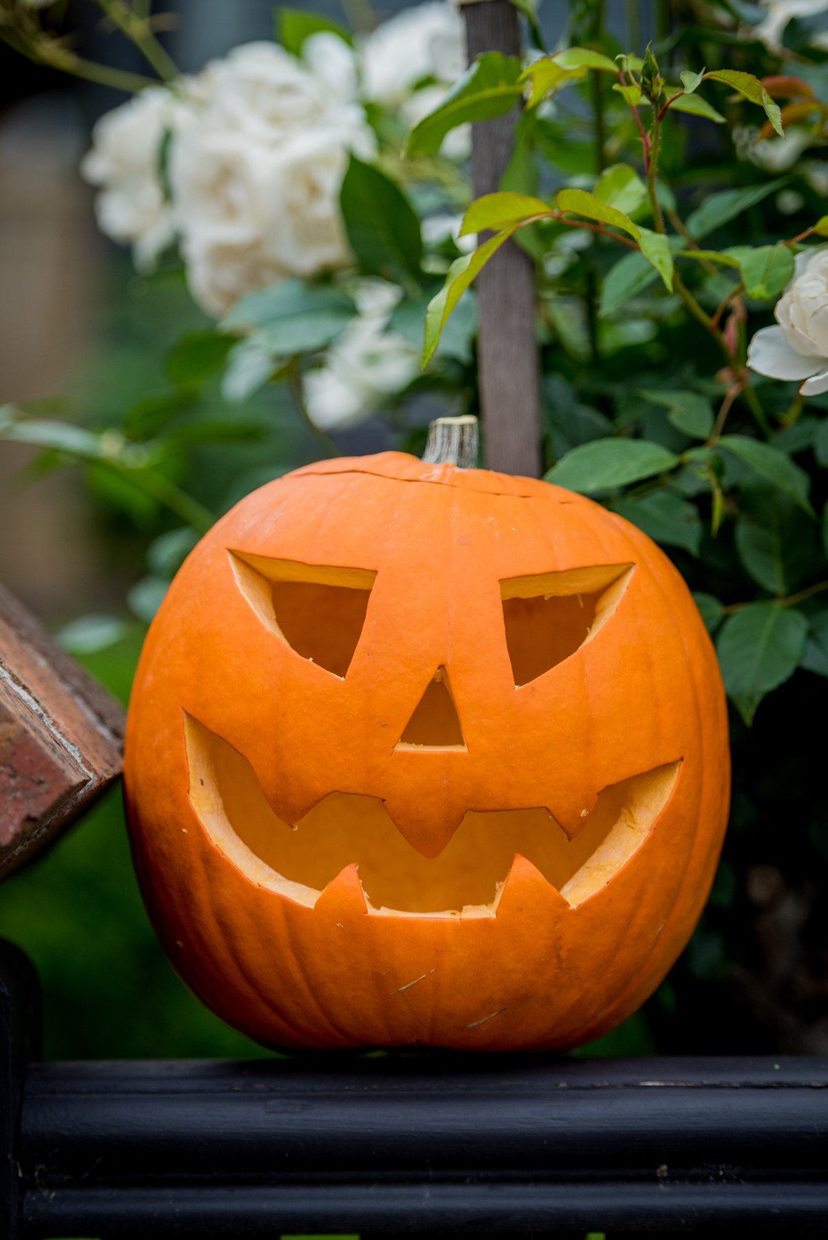 Oct 2017 Halloween 108.jpg