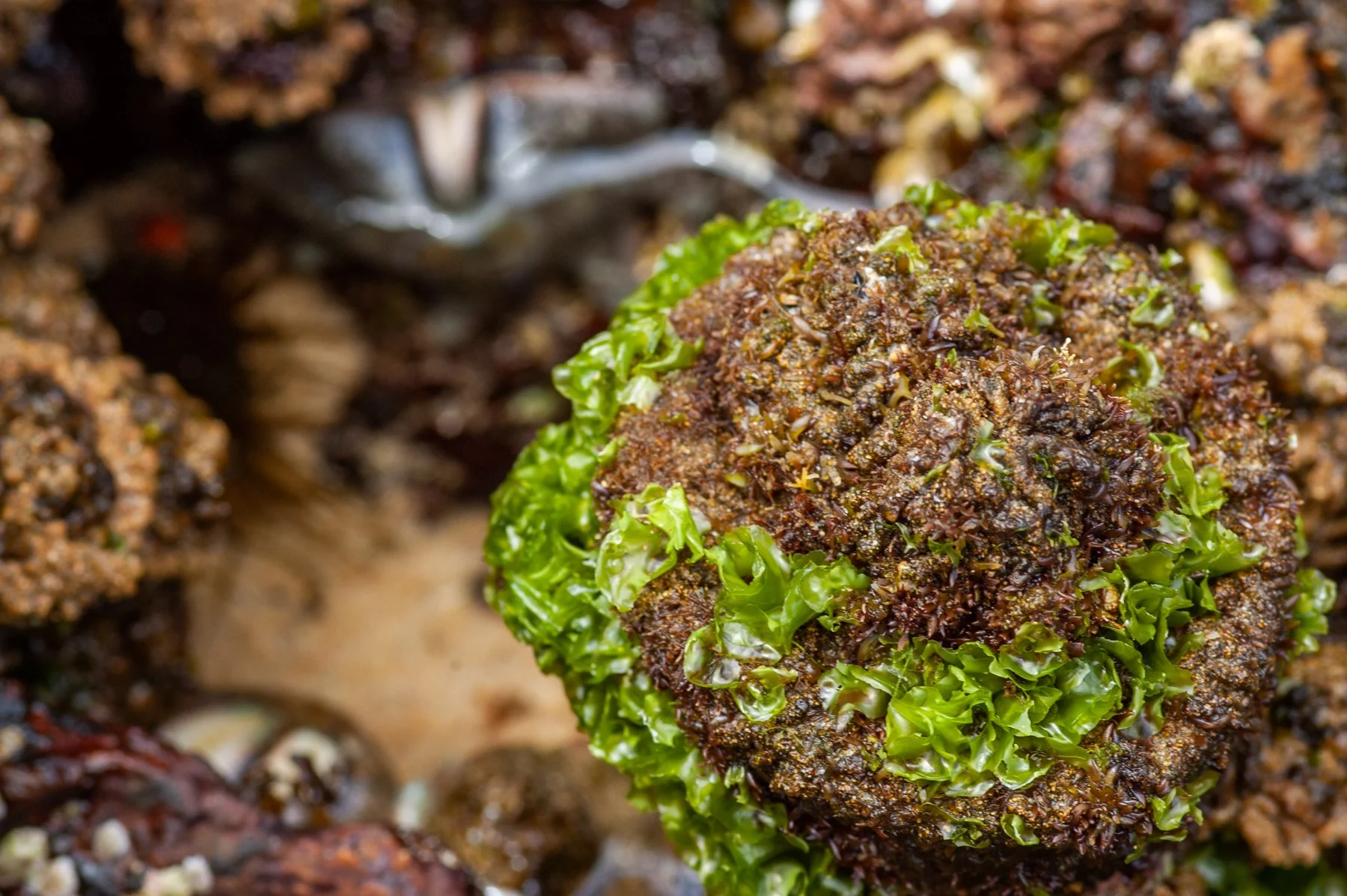 Dec 2006 Eastern Roadtrip 110.jpg