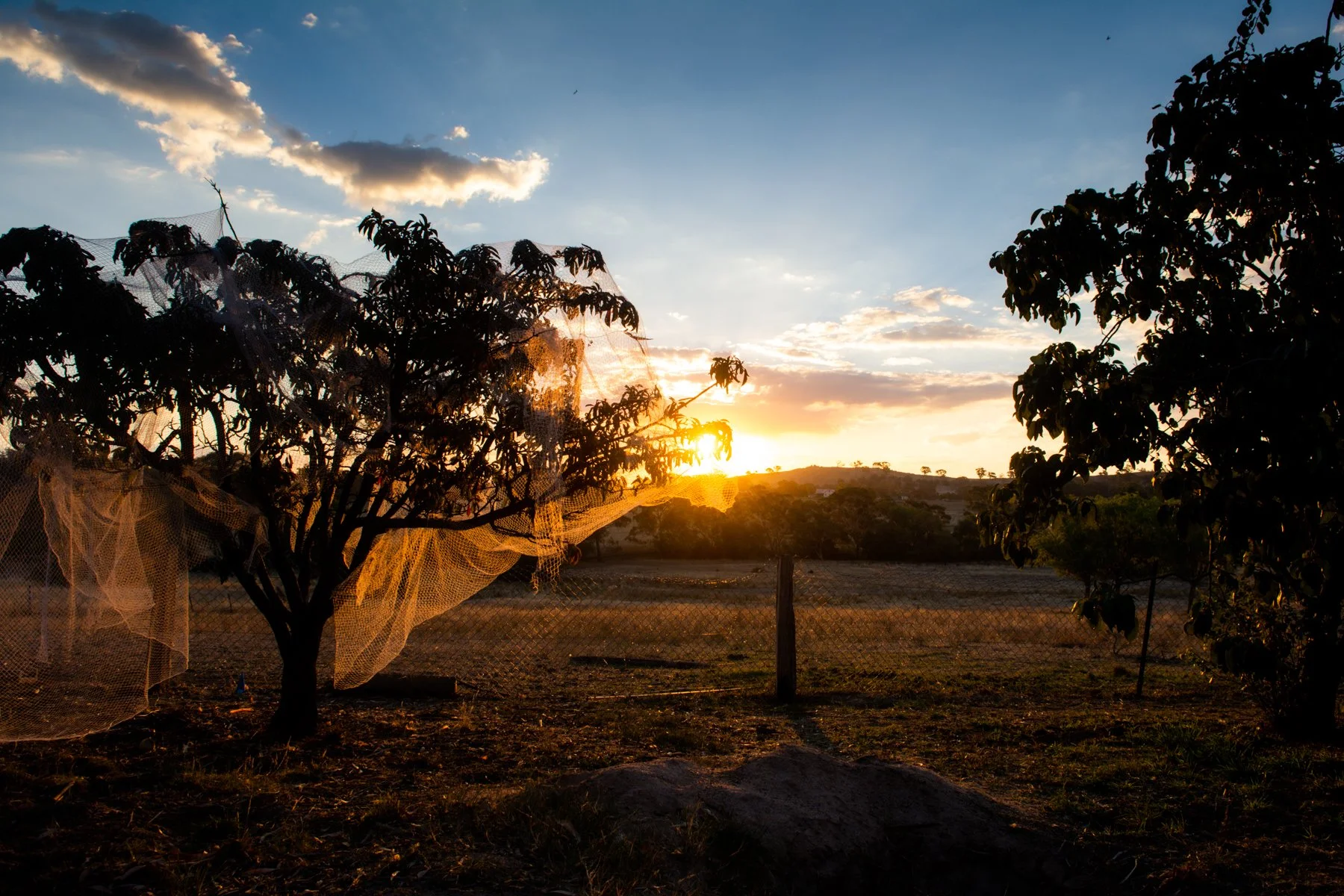 April 2017 Harcourt 074.jpg