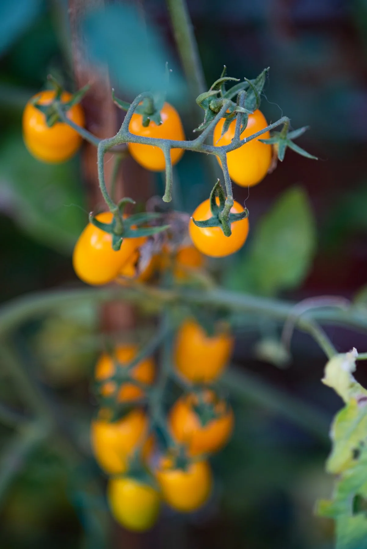 Dec 2021 Courtyard 14.jpg