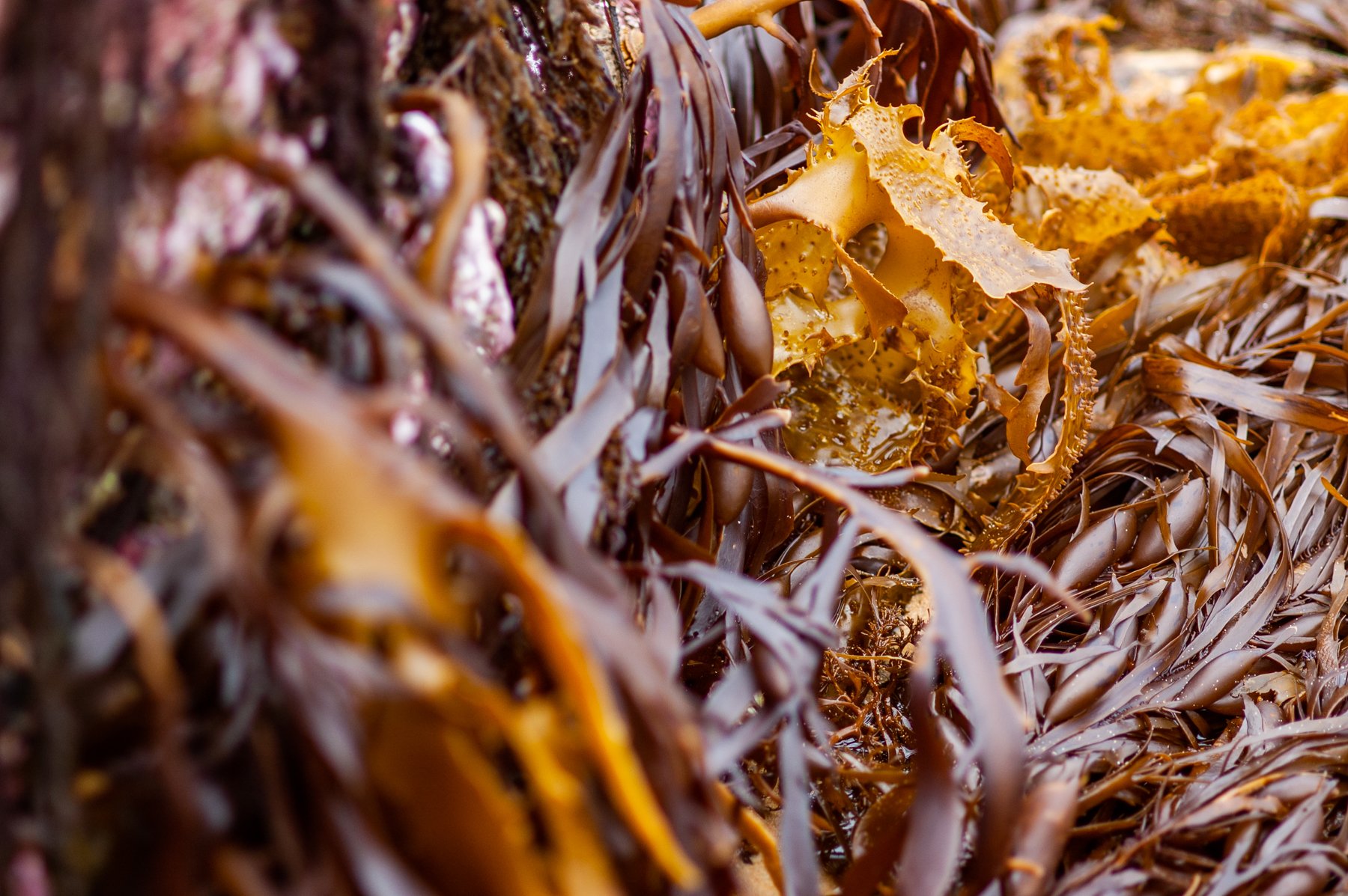 Dec 2006 Eastern Roadtrip 121.jpg