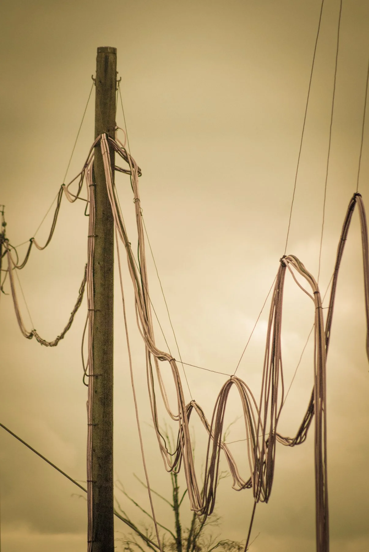 July 2010 Huntsman Demolition 150.jpg