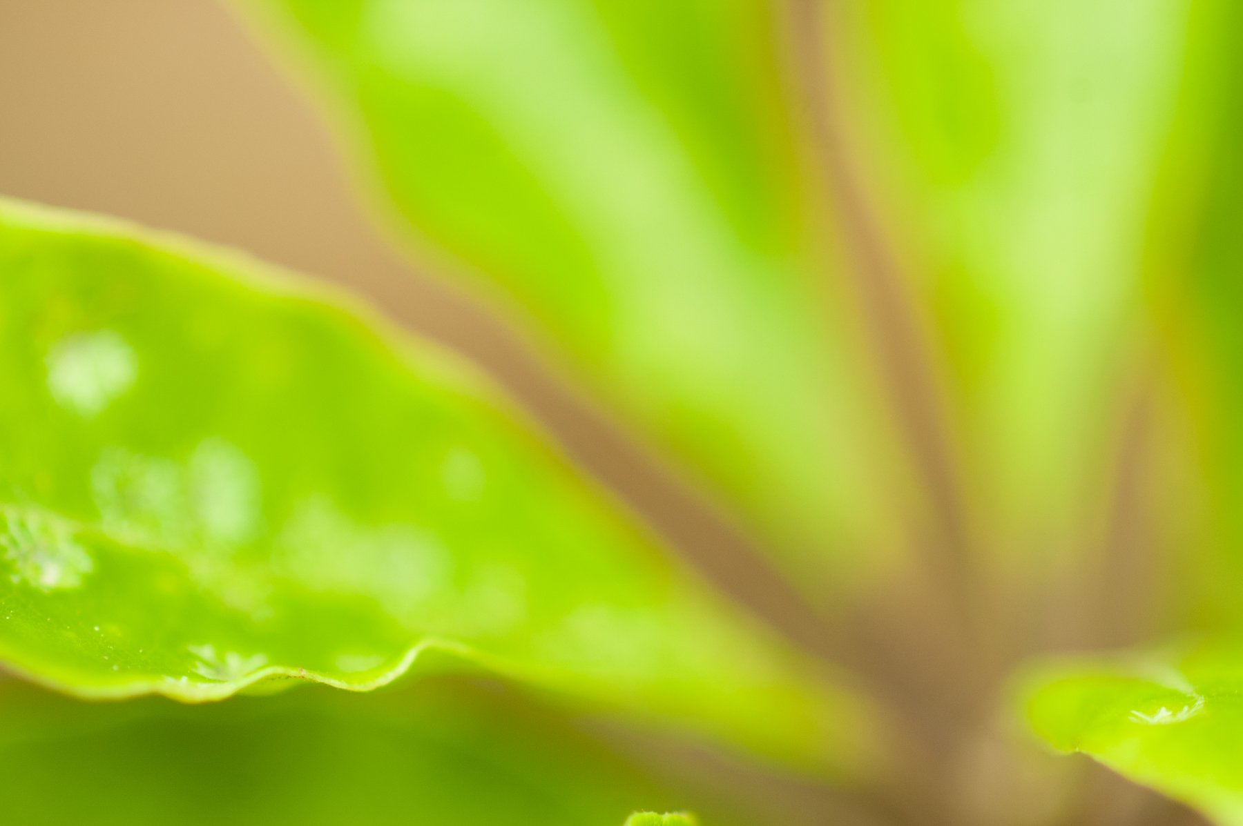 Dec 2006 Eastern Roadtrip 152.jpg