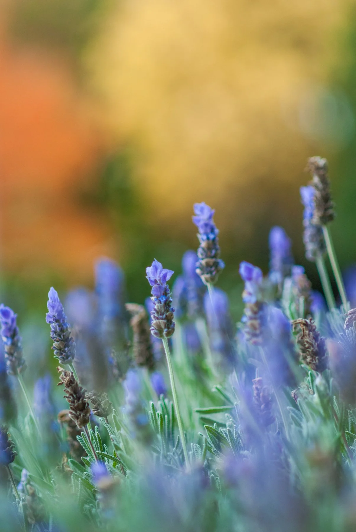 April 2007 Digital Workshop 283.jpg