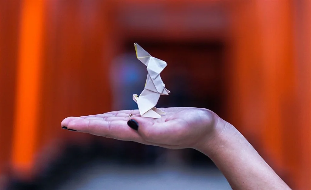 This SA developer quit his job to fold origami, and landed deals with Dior, RedBull, and Pixar