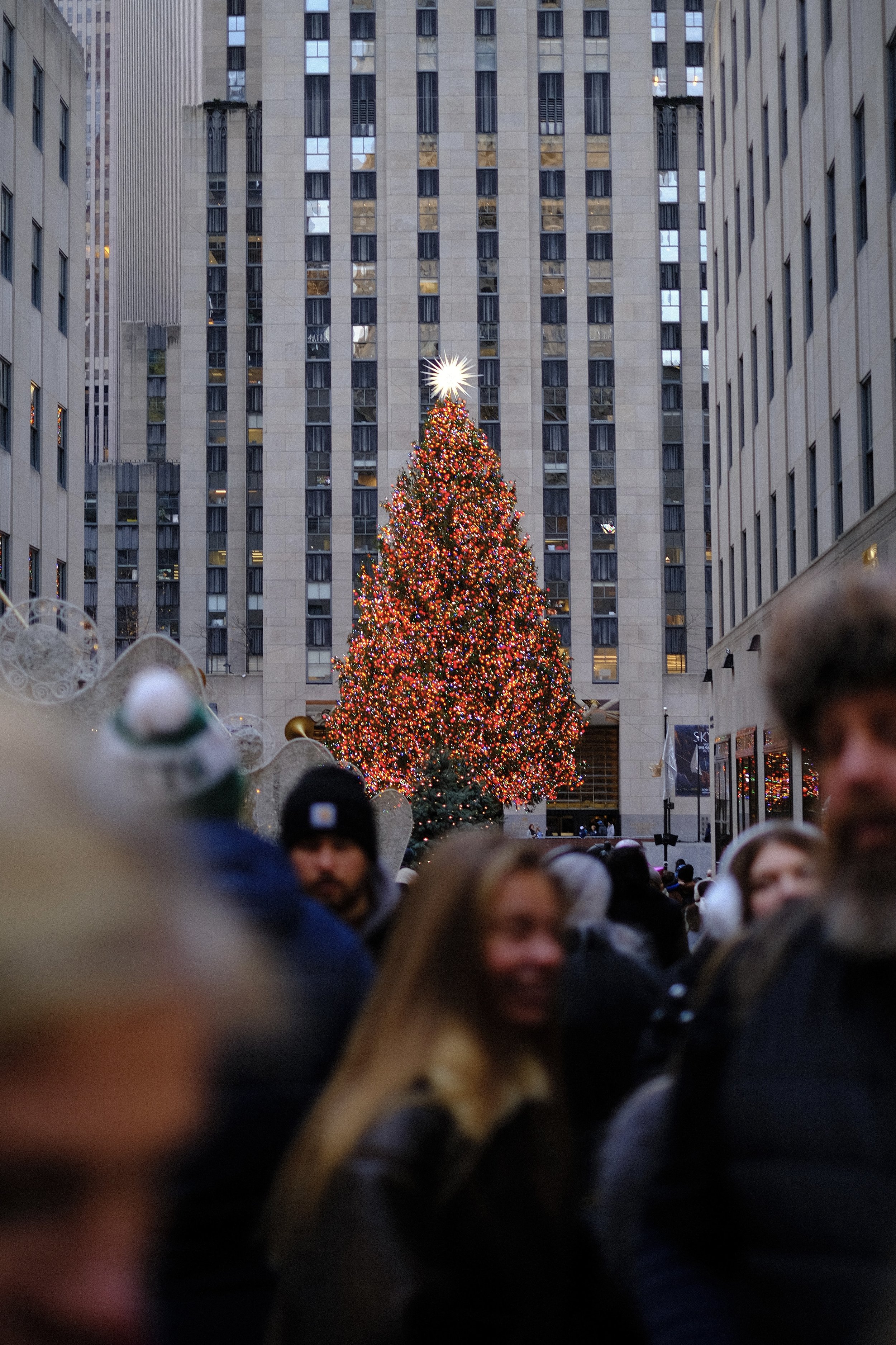 A tall Christmas tree decorated with red and gold ornaments and lights, topped with a bright star, stands between high-rise buildings in a city, with a crowd gathered around.