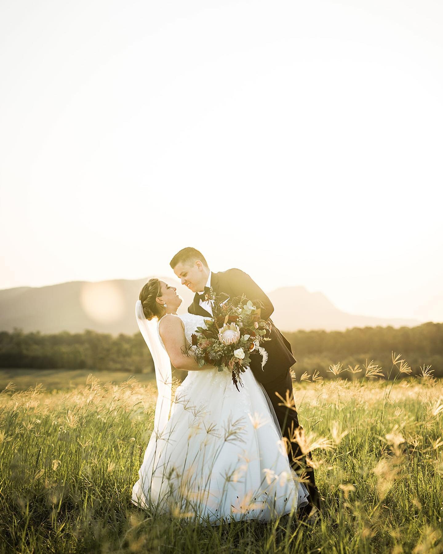 Sun kissed summer days in the Hunter memories for this frosty day.

📷: @alpha_imagery_au 
Venue: @bimbadgenpalmerslane 
H&amp;MU: @cmphairartistry 
Celebrant: @celebrant_sophie 

#bride #groom #bridalbouquet #buttonhole #weddingflorist #huntervalley