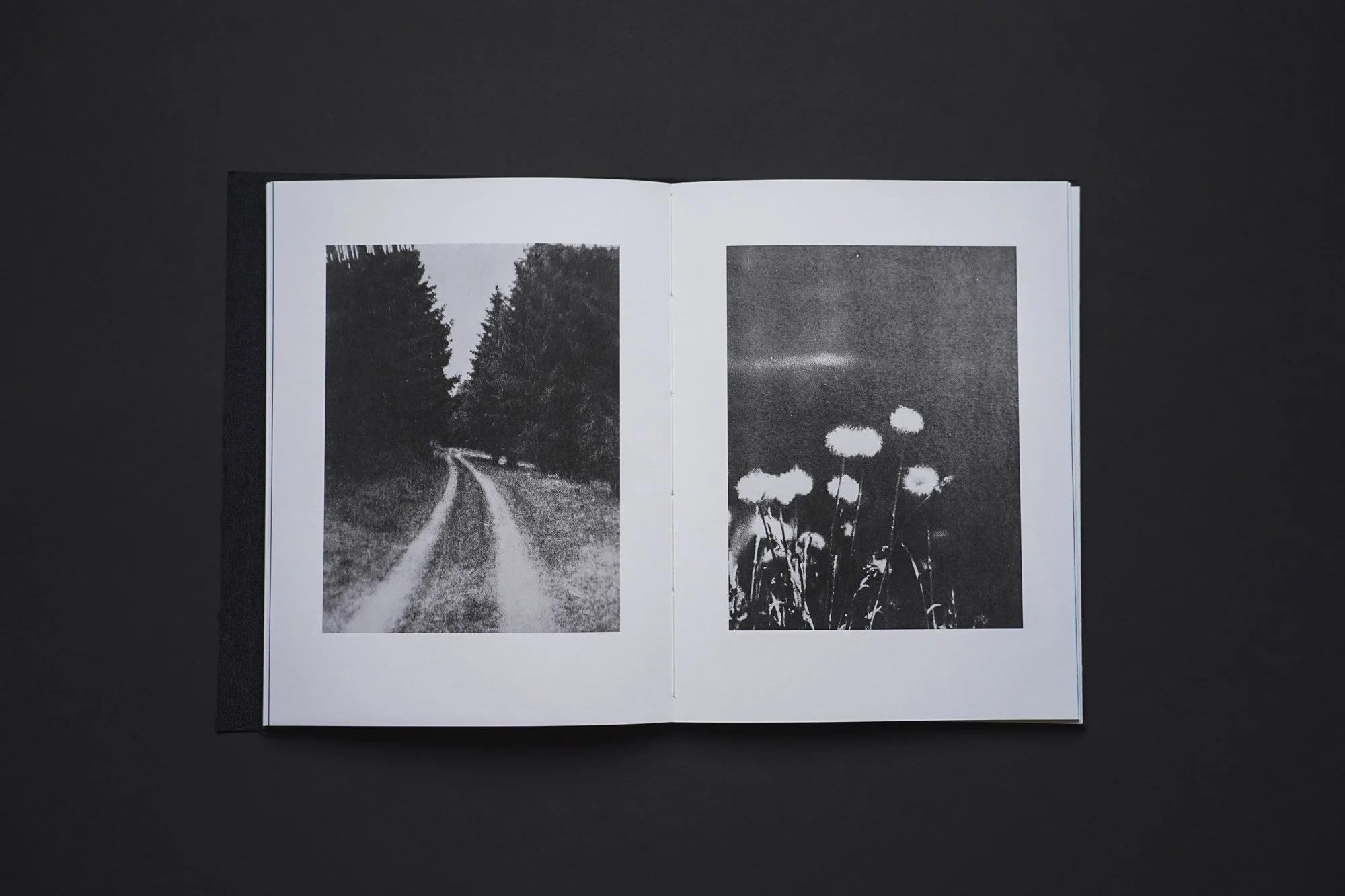 Posa_Ich bleib nicht lang_6.jpg