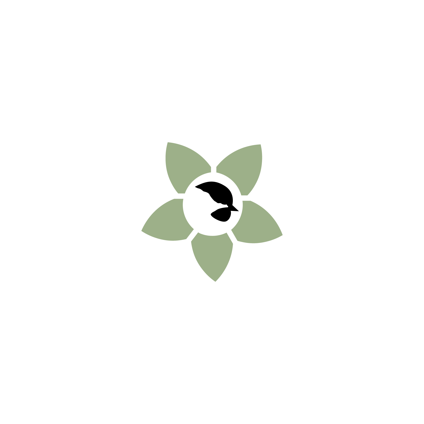 color 4.png