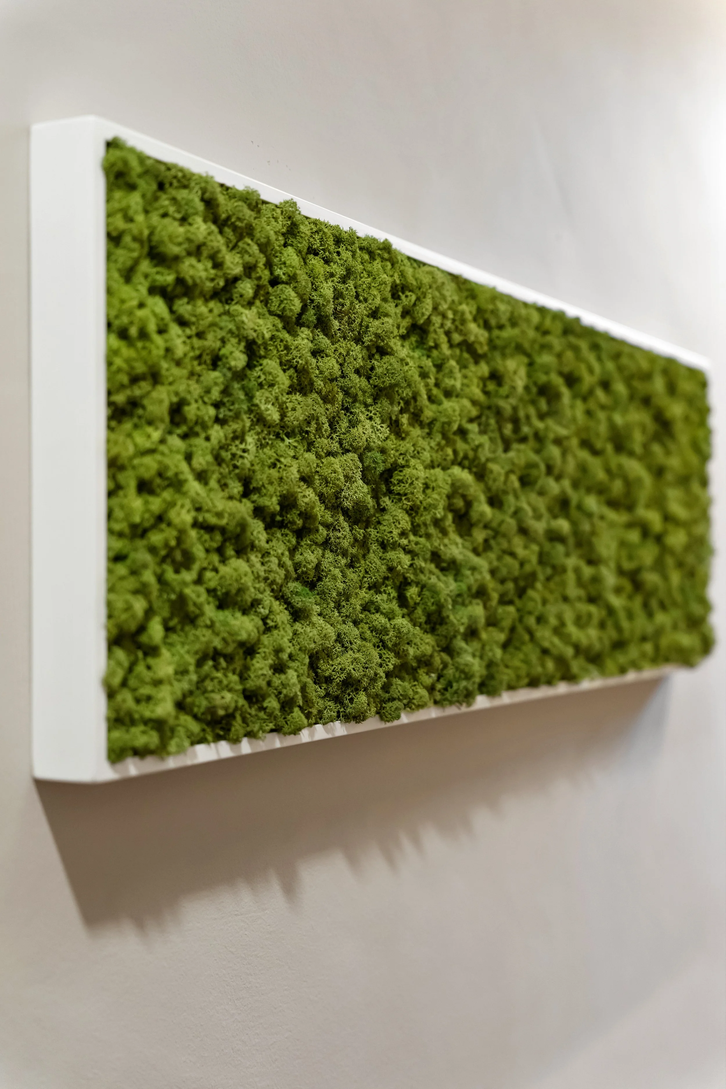 15-16 Fitzwilliam Place-56.jpg