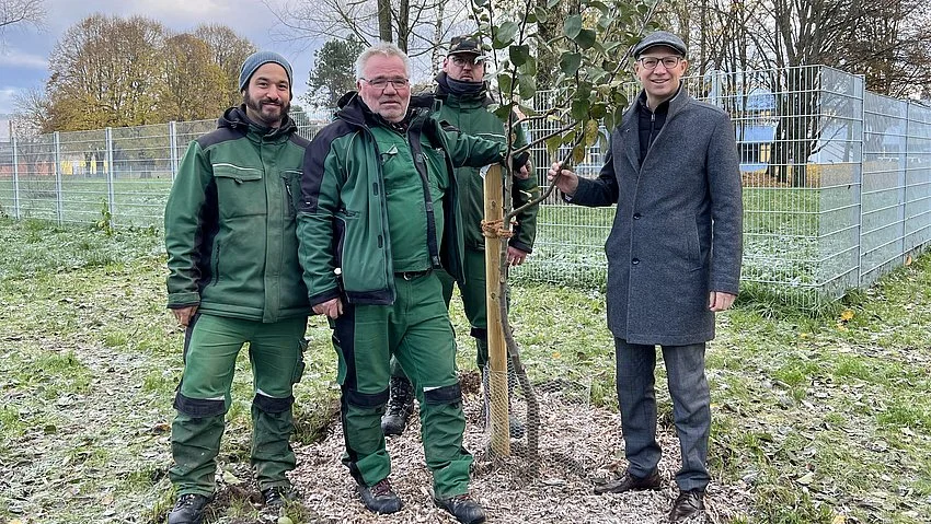 Früchte des Erfolgs gestohlen - Landrat und Bauhof-Mitarbeiter entsetzt über Klau nach Apfelbaum-Pflanzaktion