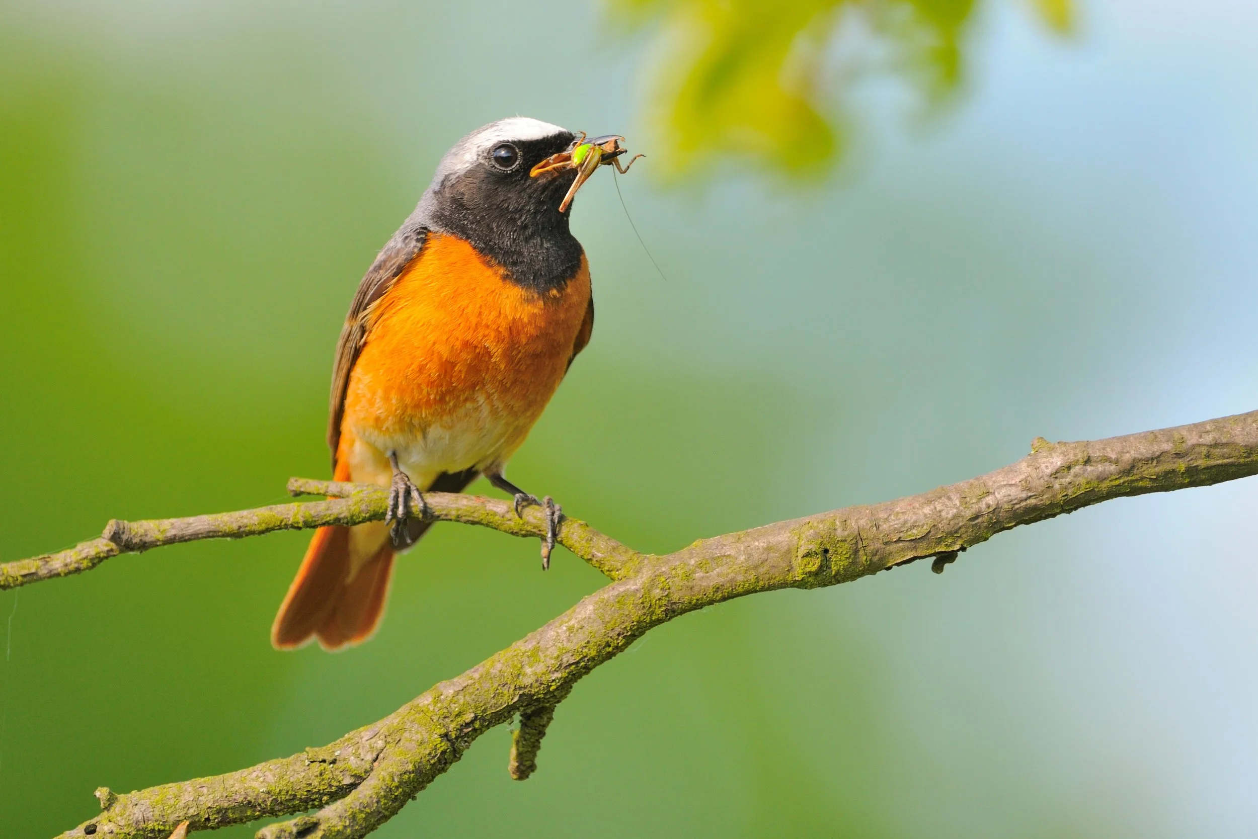 Kooperation zum Erhalt einer traditionsreichen Kulturlandschaft