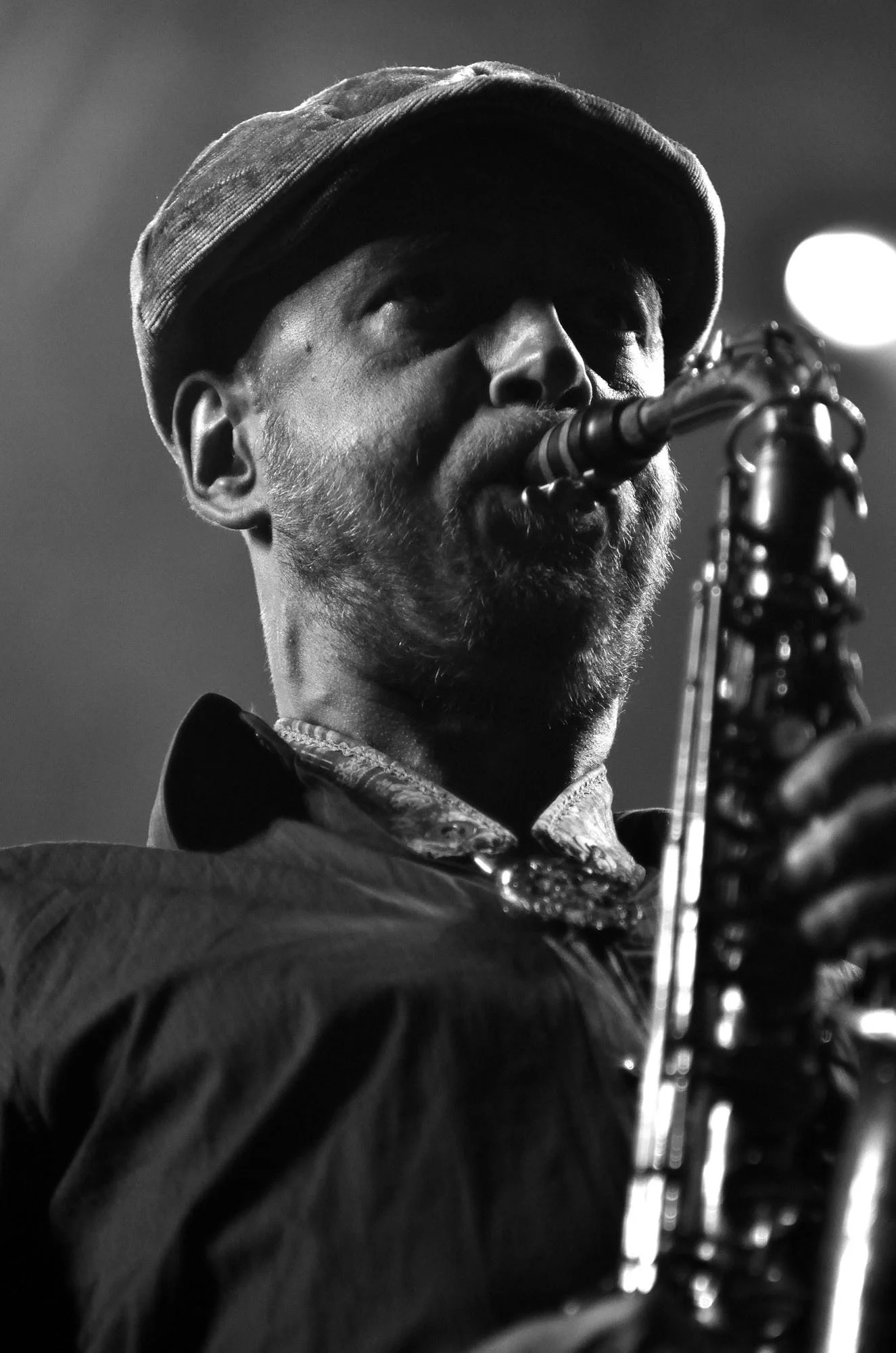 Budzillus 06_web.jpeg