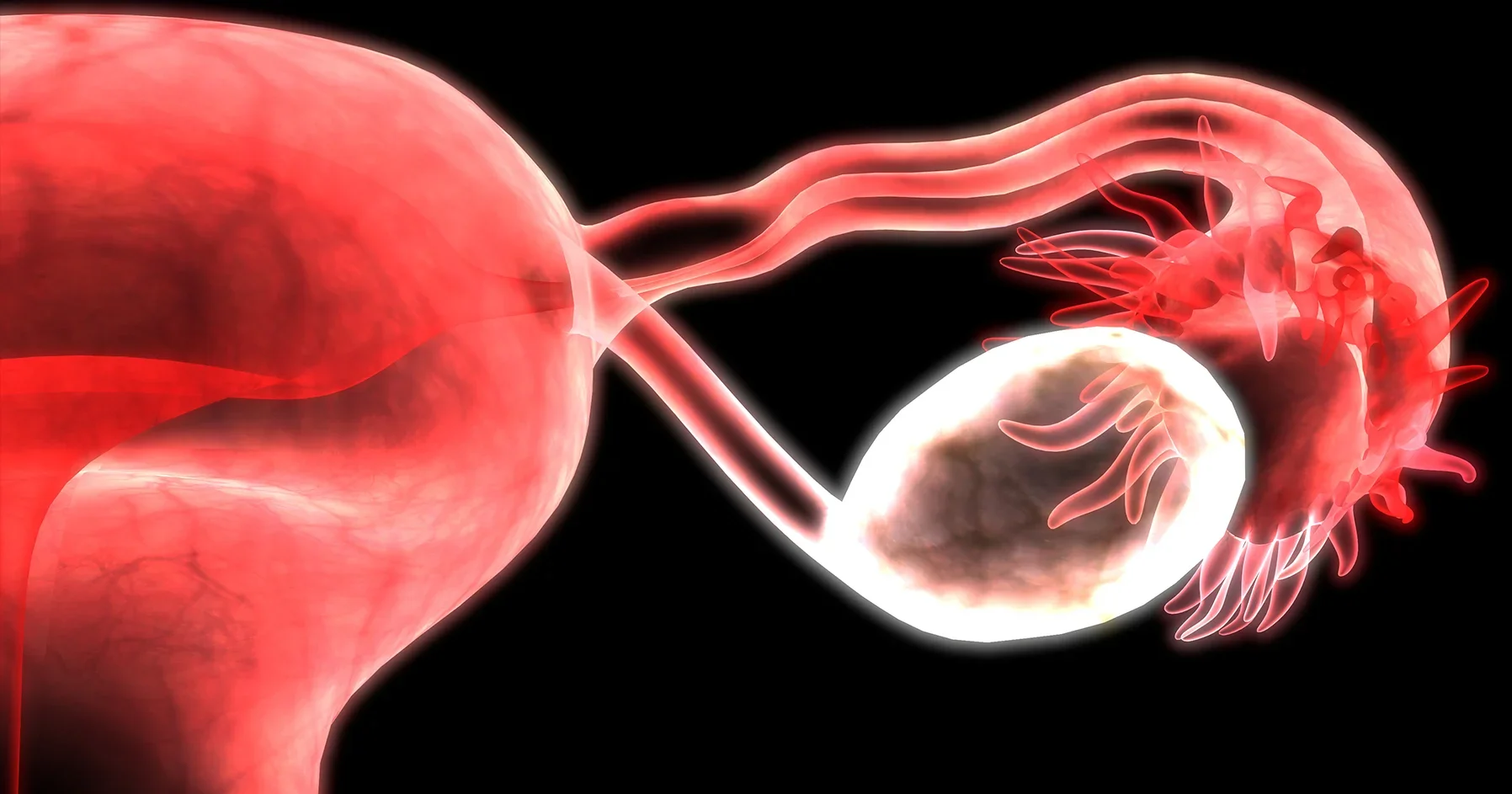 POI affects 1 in 27 women… so why is it still being treated like a rare condition?