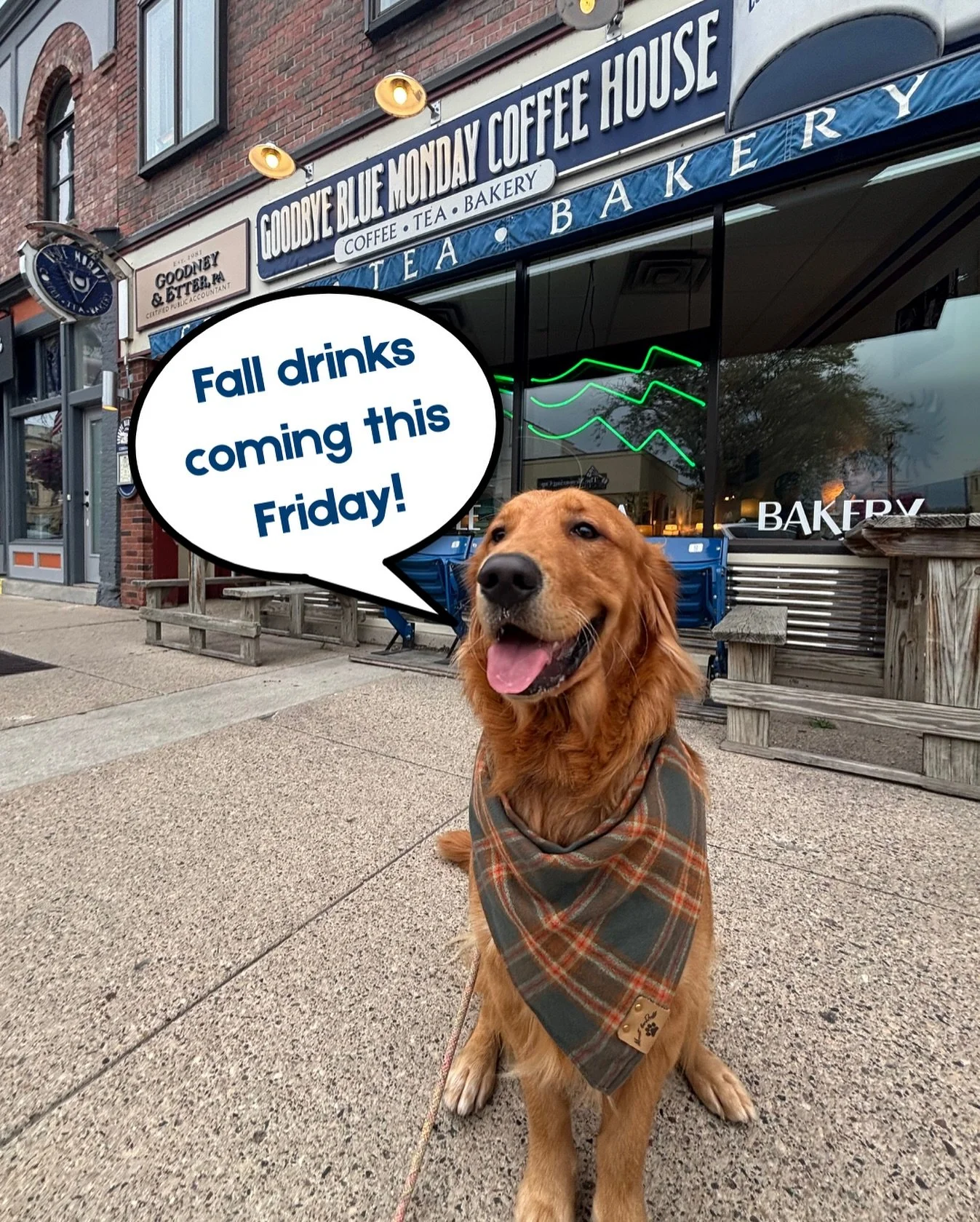 @moony.the.golden letting you know our fall drinks drop on friday 🍂